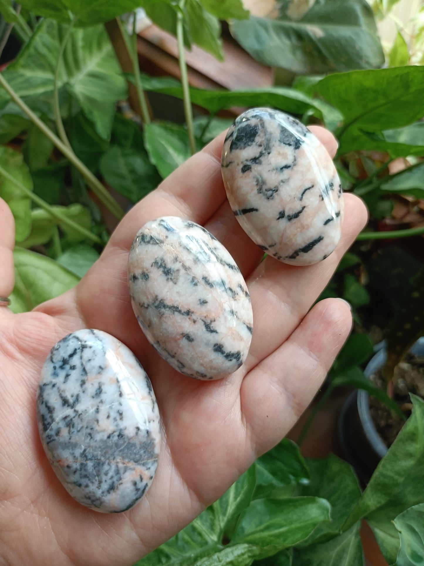 Pink Zebra Jasper Palm Stones - 40-60g