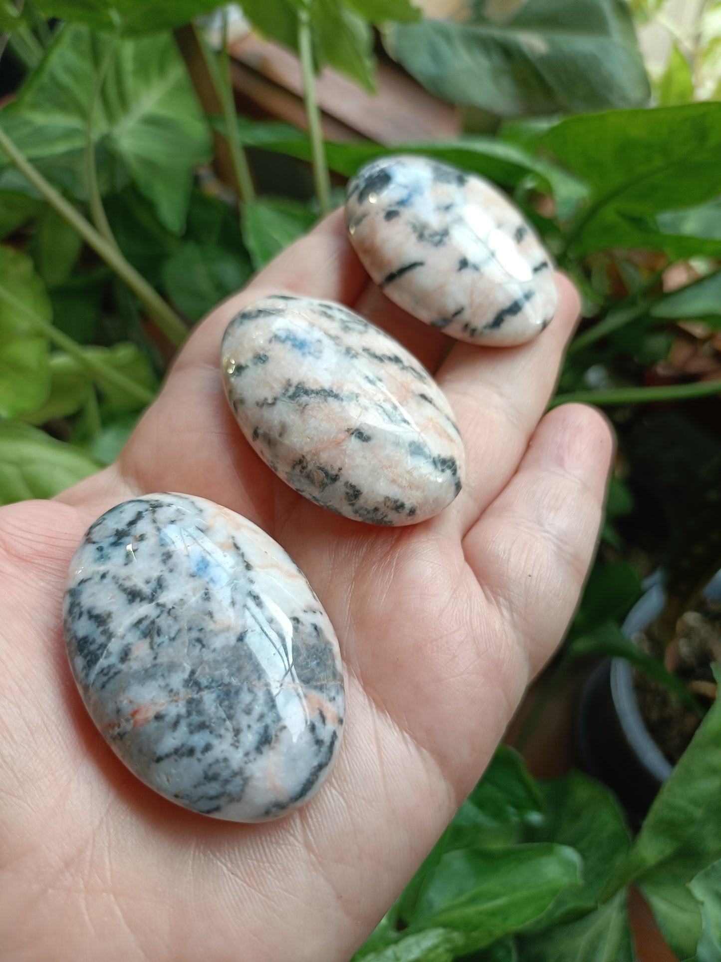 Pink Zebra Jasper Palm Stones - 40-60g