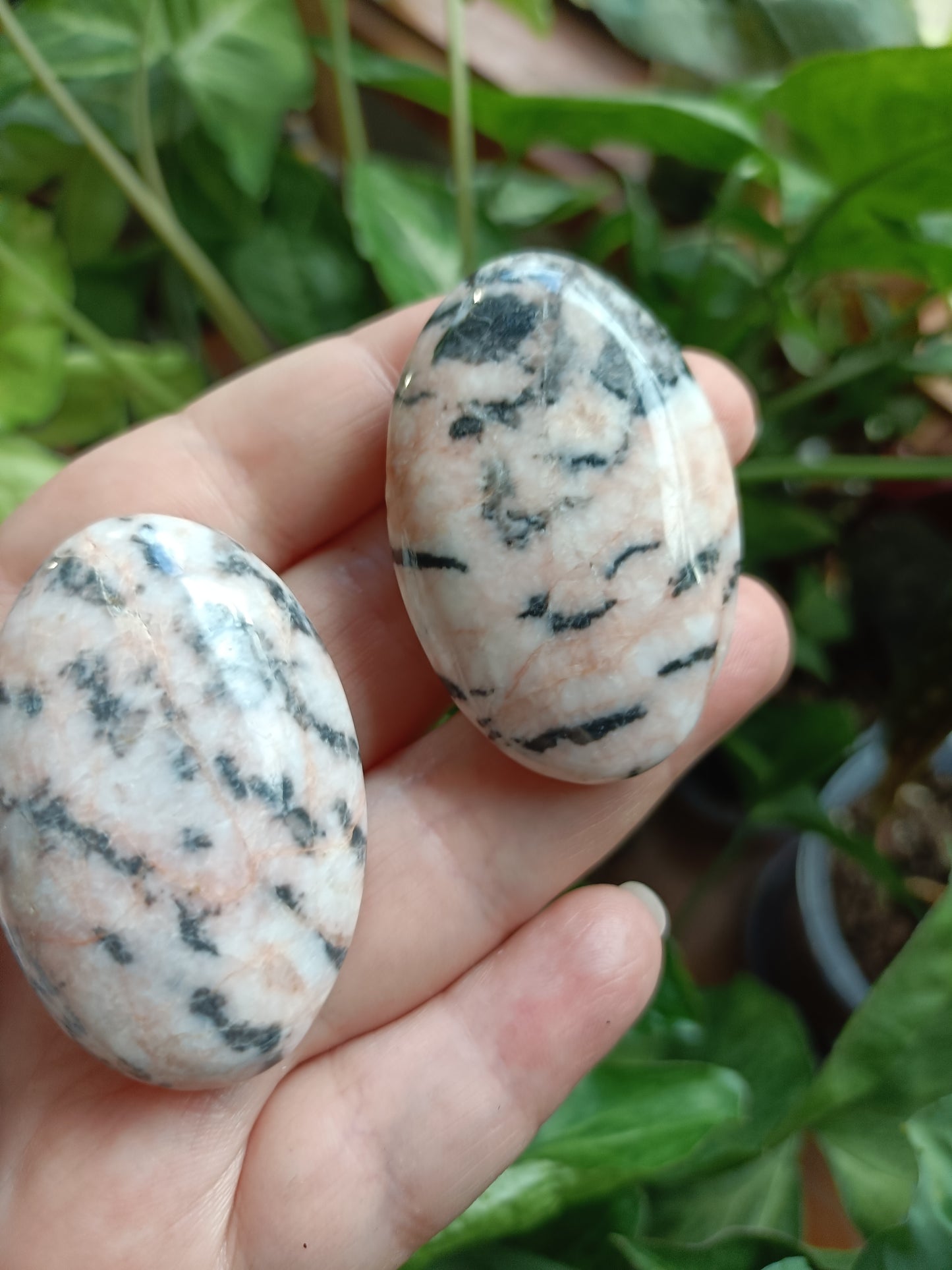 Pink Zebra Jasper Palm Stones - 40-60g