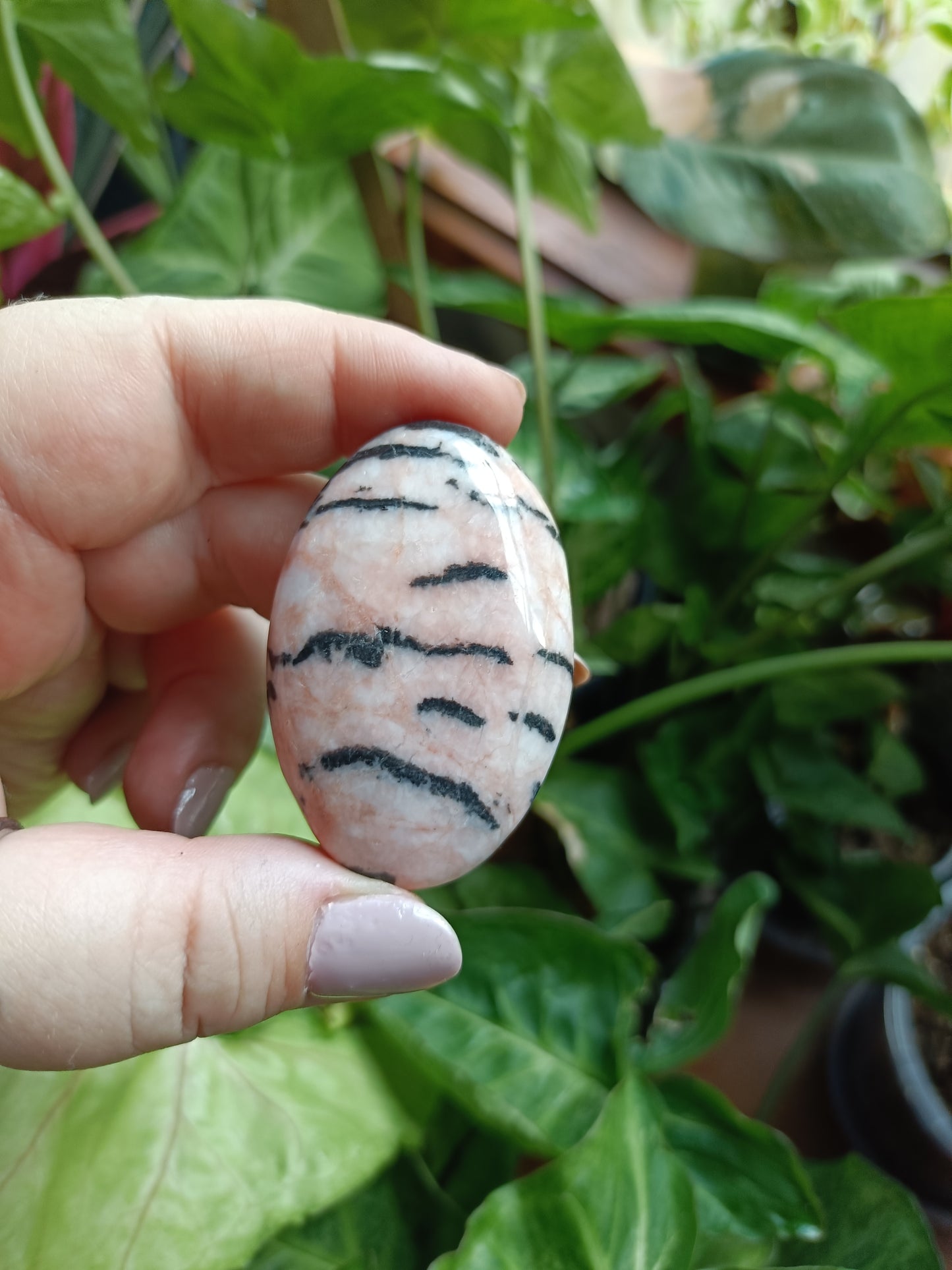 Pink Zebra Jasper Palm Stones - 40-60g