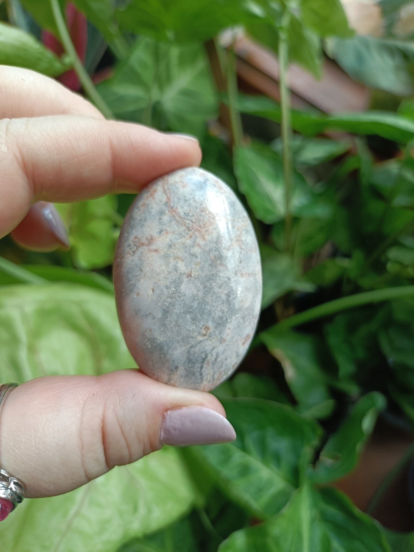 Pink Zebra Jasper Palm Stones - 40-60g