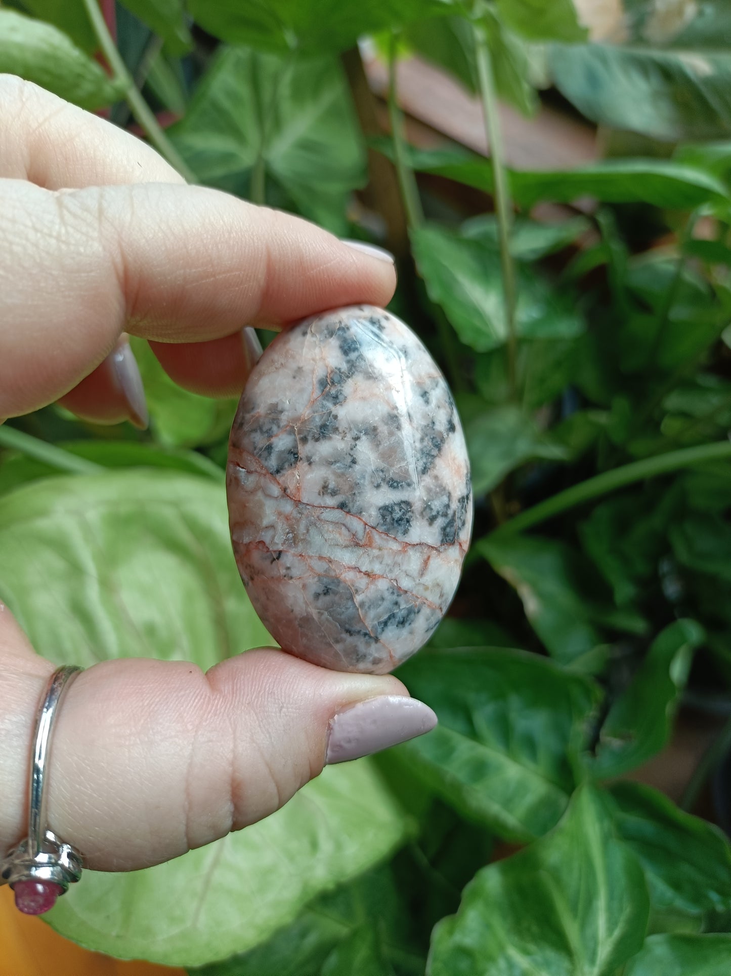 Pink Zebra Jasper Palm Stones - 40-60g