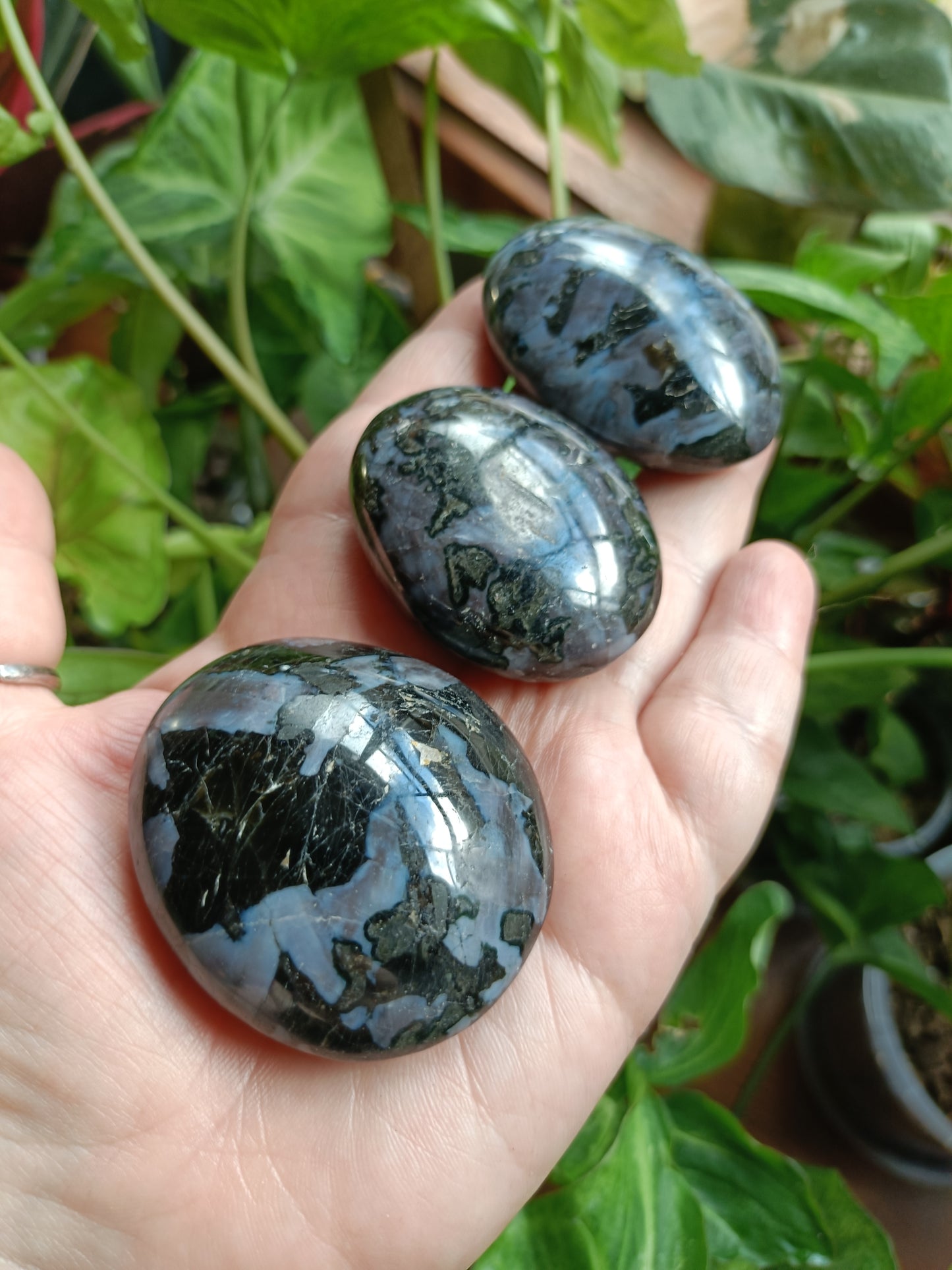 'Mystic Merlinite' Indigo Gabbro Palm Stones - 80-110g