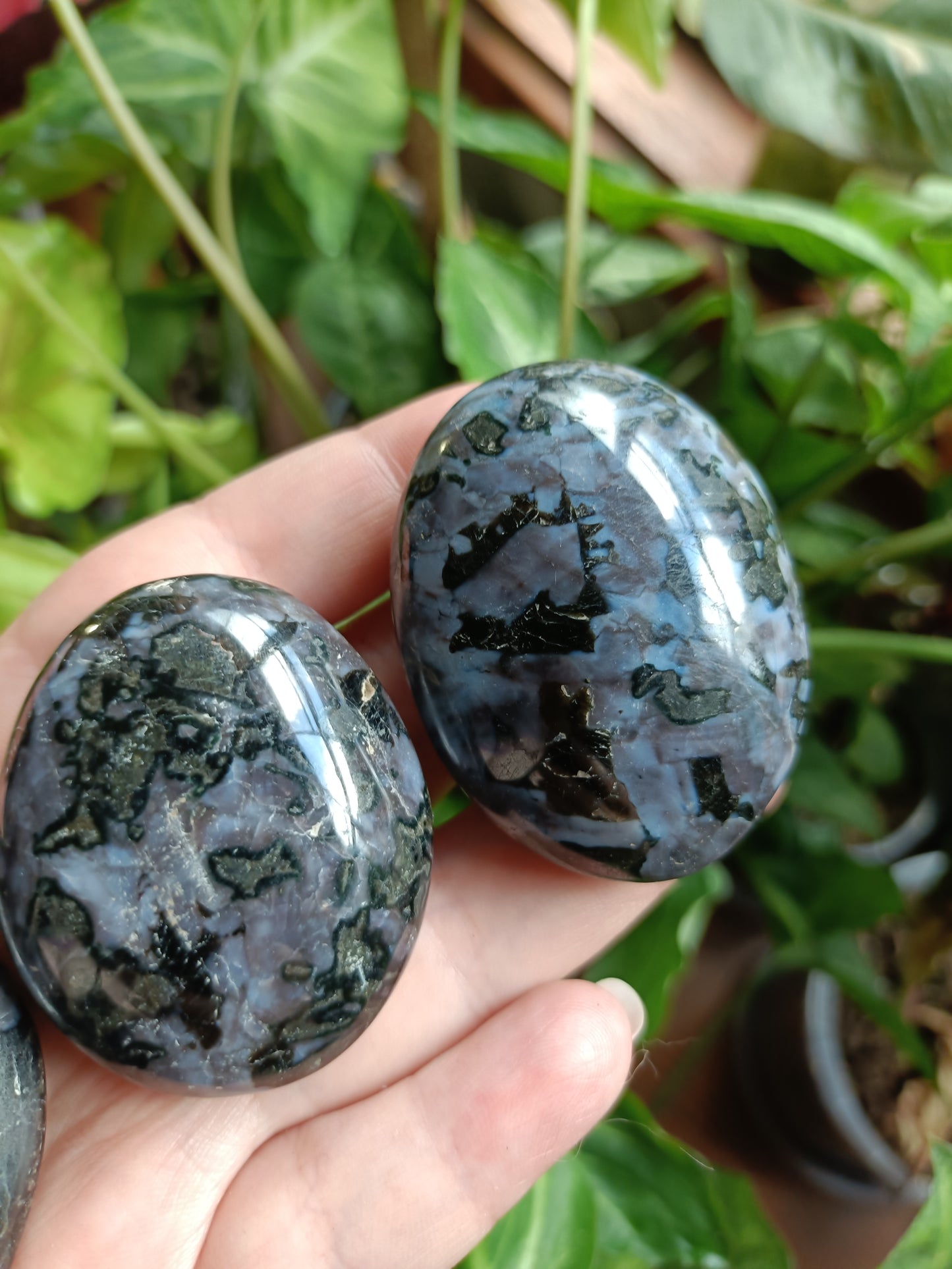'Mystic Merlinite' Indigo Gabbro Palm Stones - 80-110g