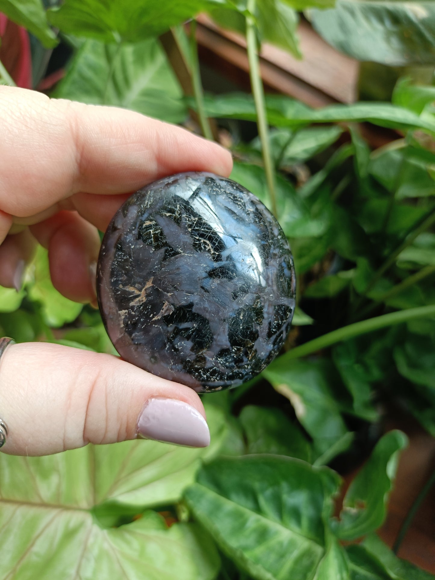 'Mystic Merlinite' Indigo Gabbro Palm Stones - 80-110g