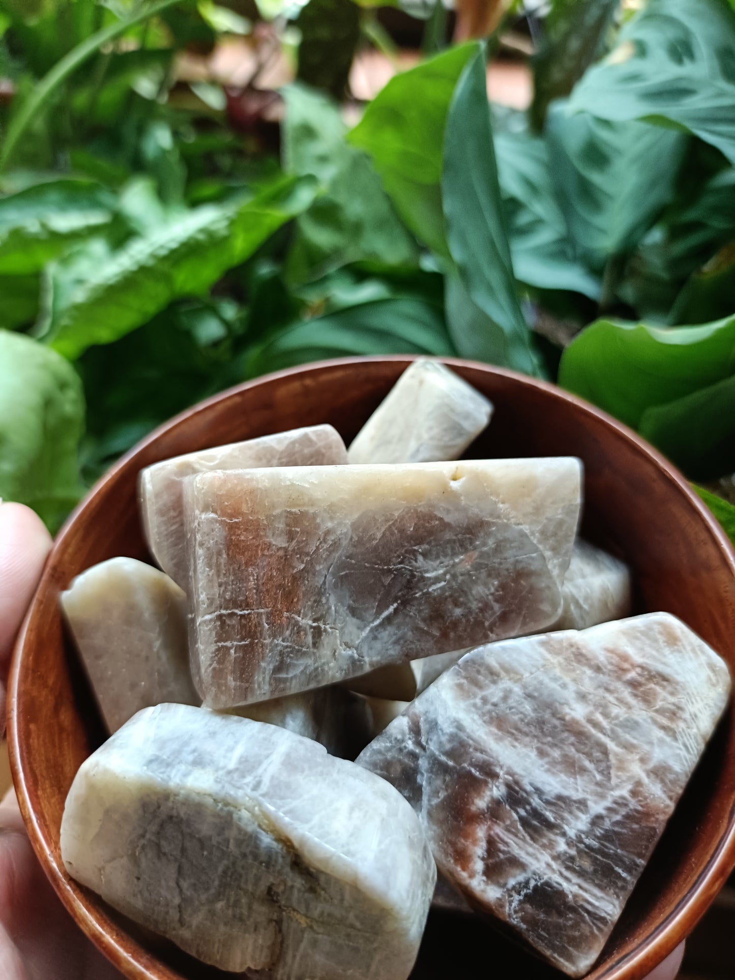 Peach Moonstone Freeform Carvings - 50g
