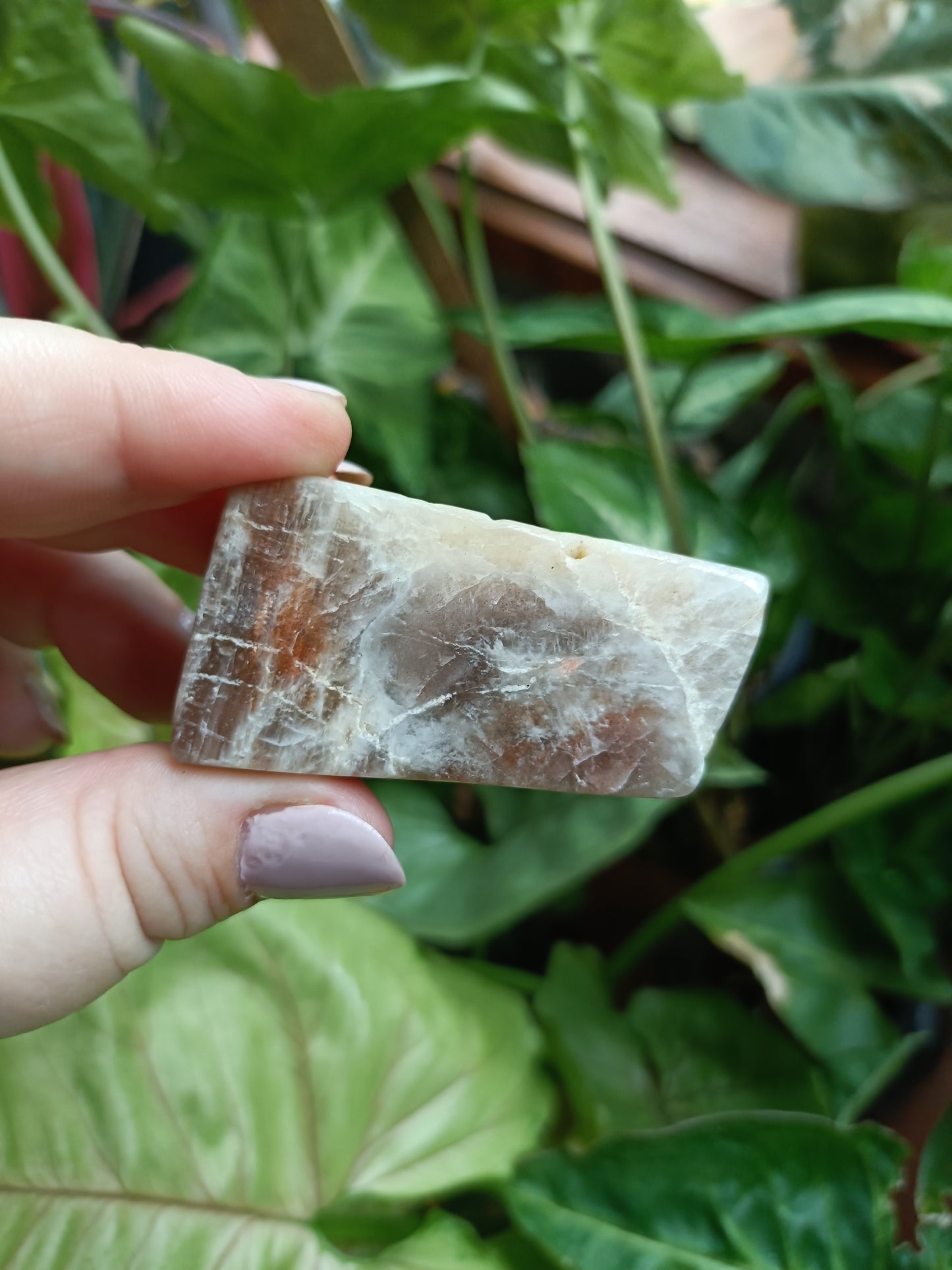 Peach Moonstone Freeform Carvings - 50g