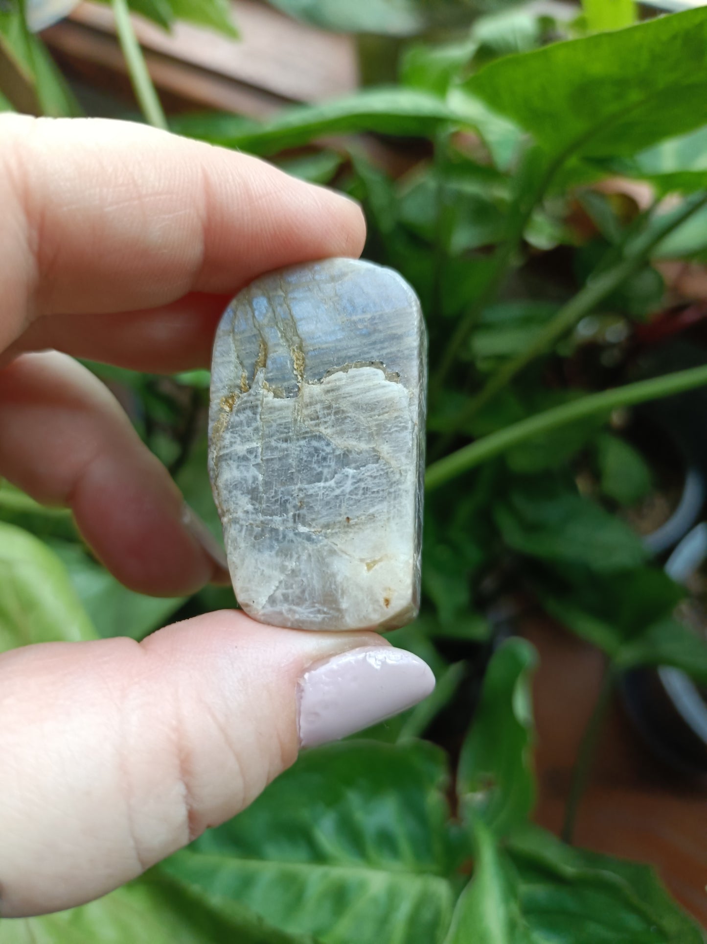 Peach Moonstone Freeform Carvings - 50g
