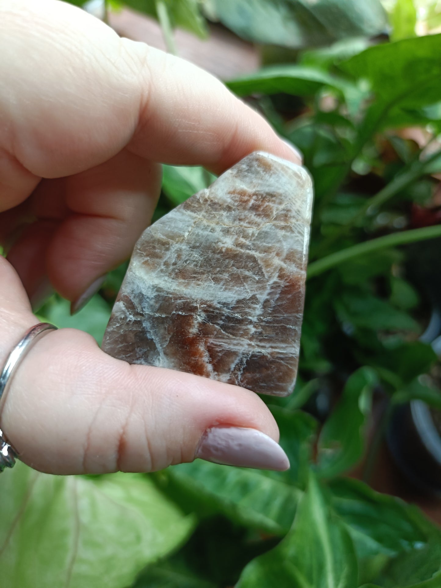 Peach Moonstone Freeform Carvings - 50g