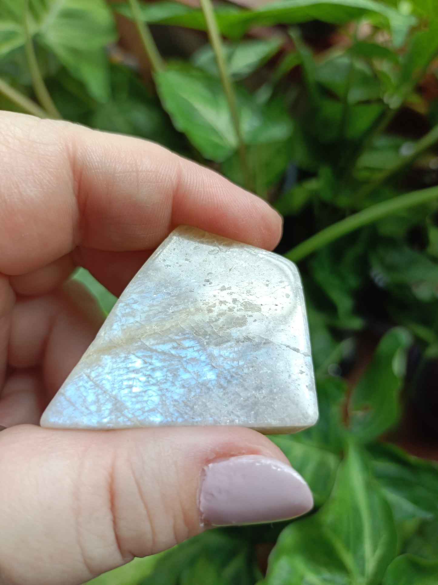 Peach Moonstone Freeform Carvings - 50g