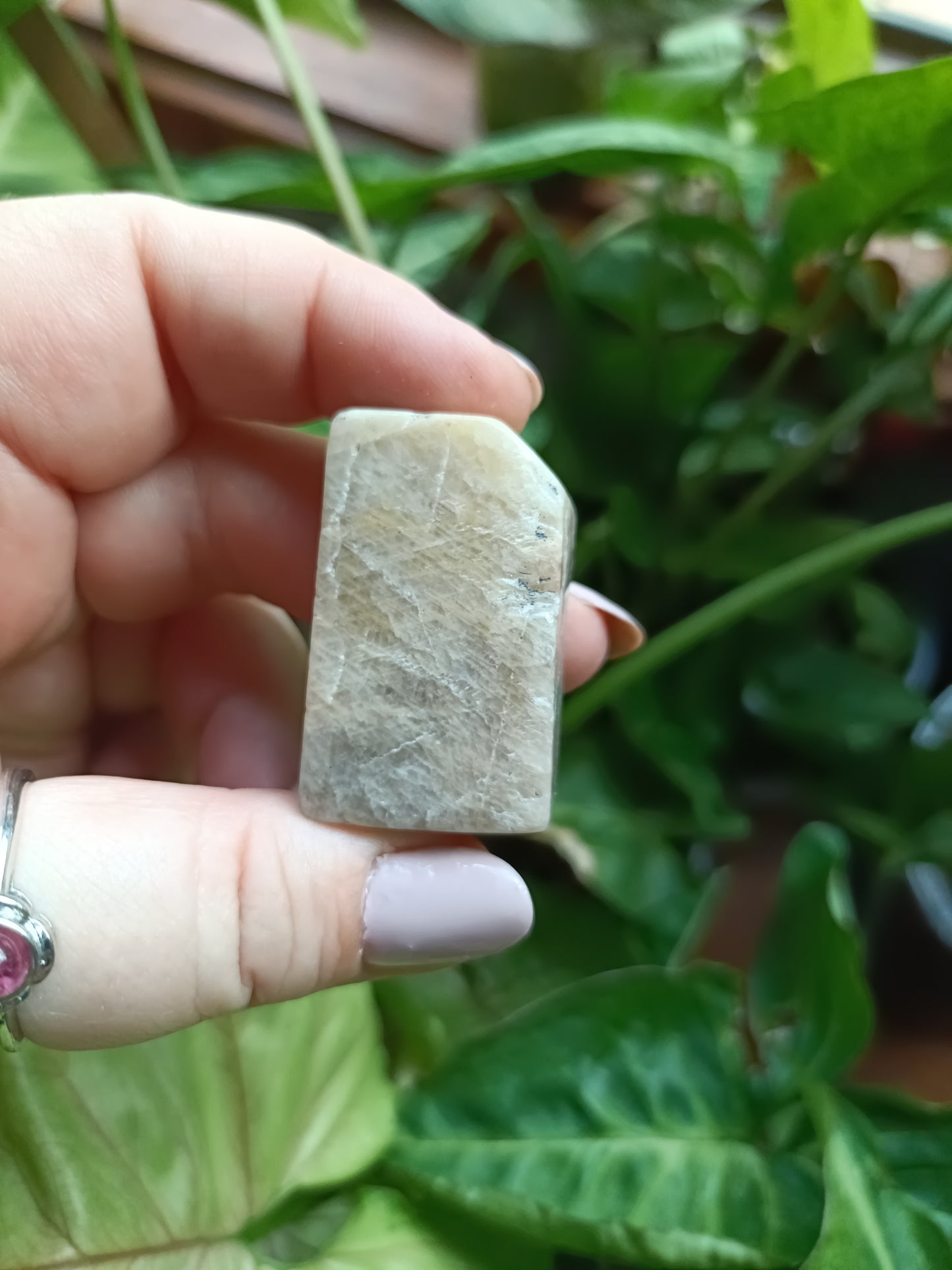 Peach Moonstone Freeform Carvings - 50g