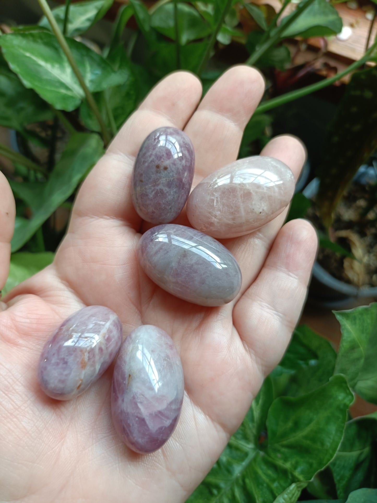 Lavender Rose Quartz MEDIUM Tumbles - 50g
