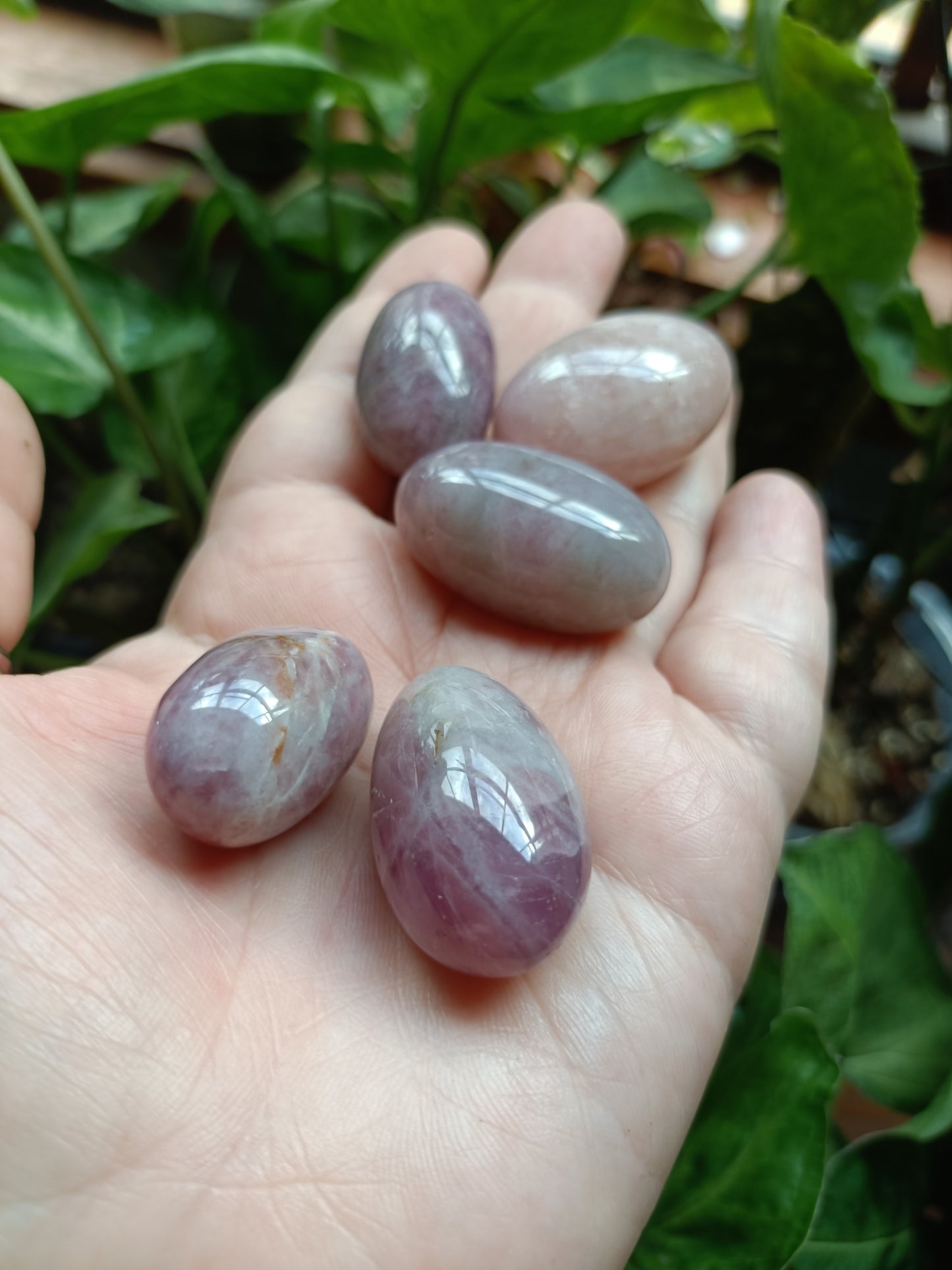 Lavender Rose Quartz MEDIUM Tumbles - 50g