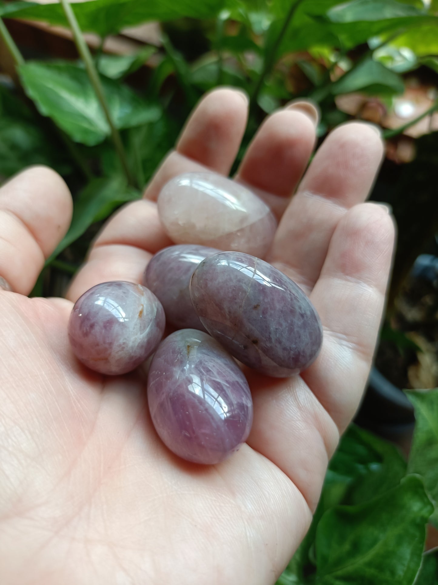 Lavender Rose Quartz MEDIUM Tumbles - 50g