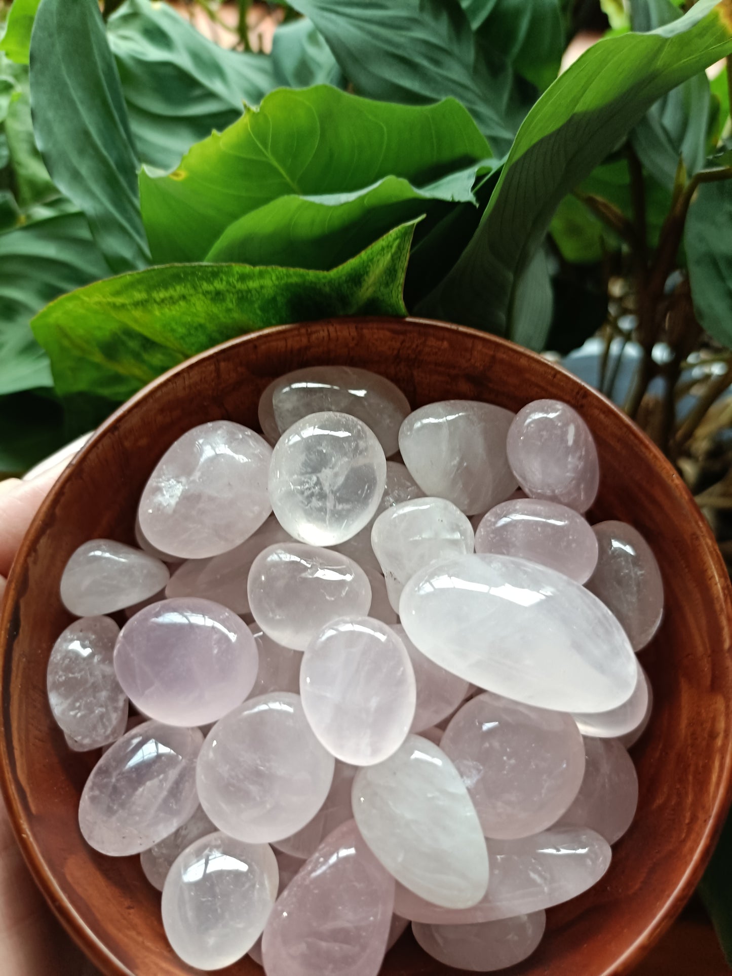 Rose Quartz SMALL Tumbles - 50g