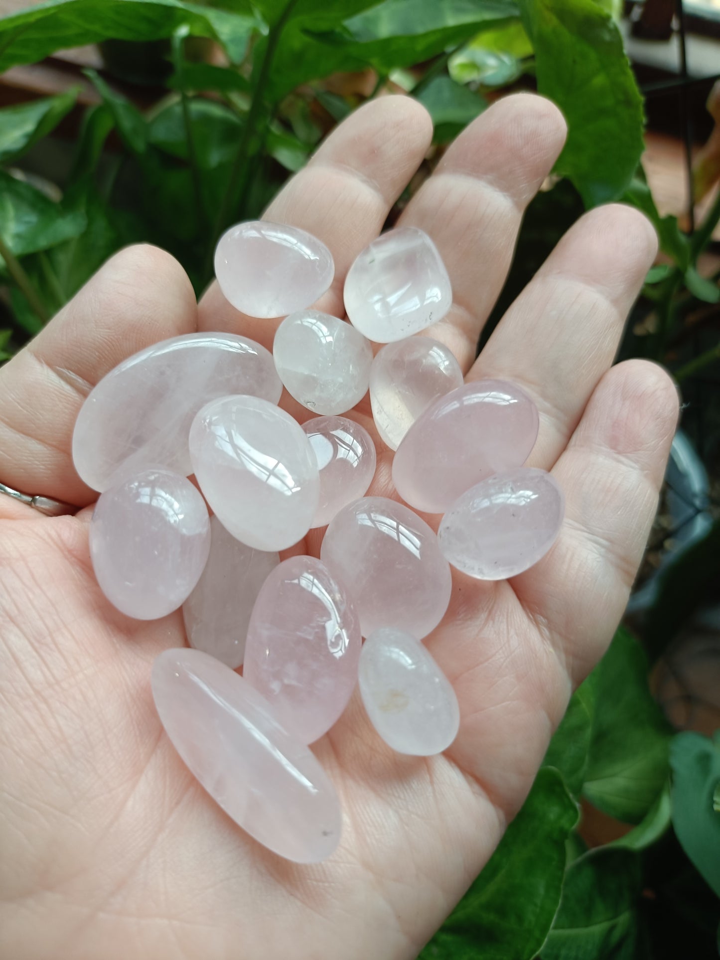 Rose Quartz SMALL Tumbles - 50g