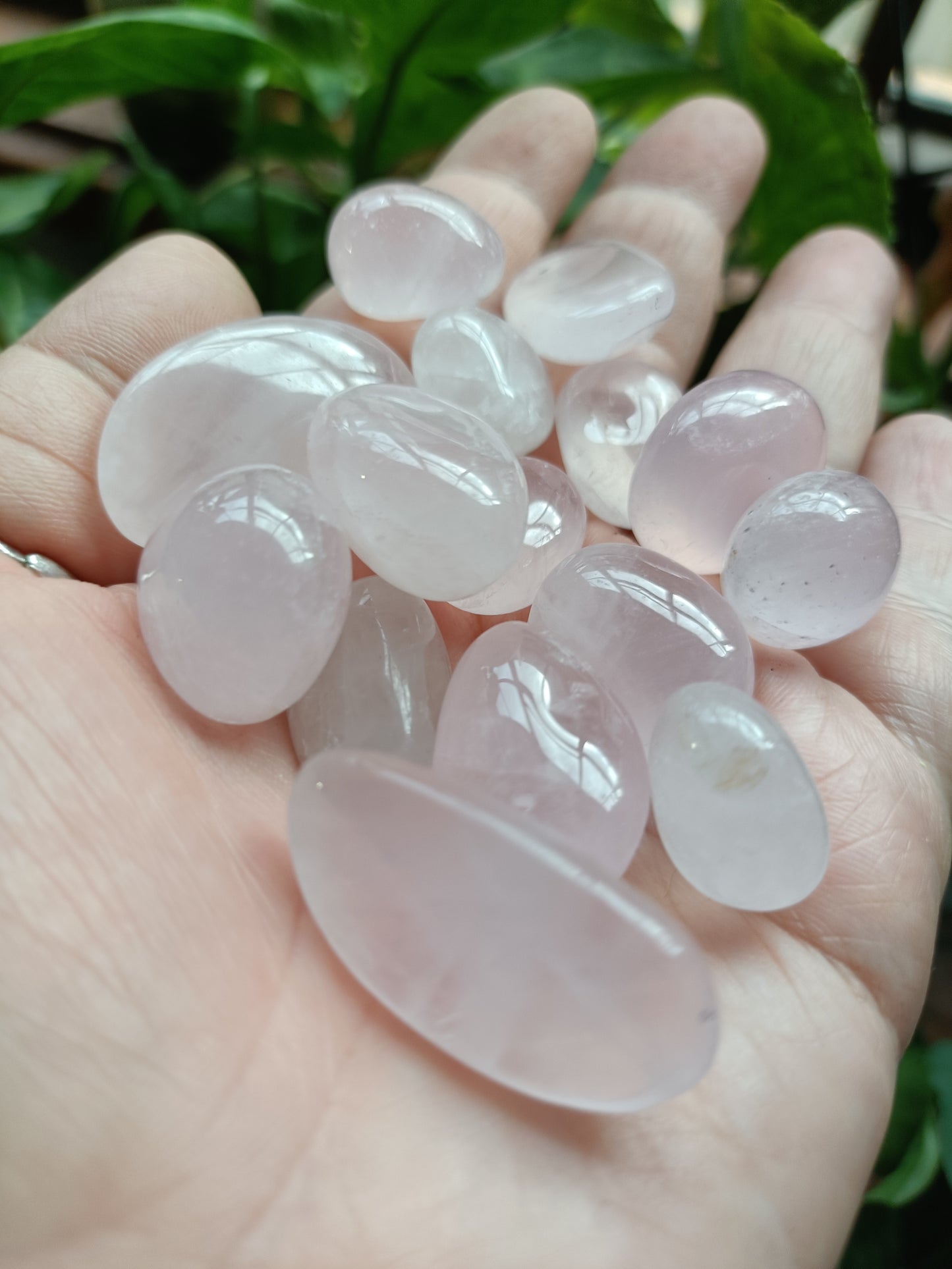 Rose Quartz SMALL Tumbles - 50g