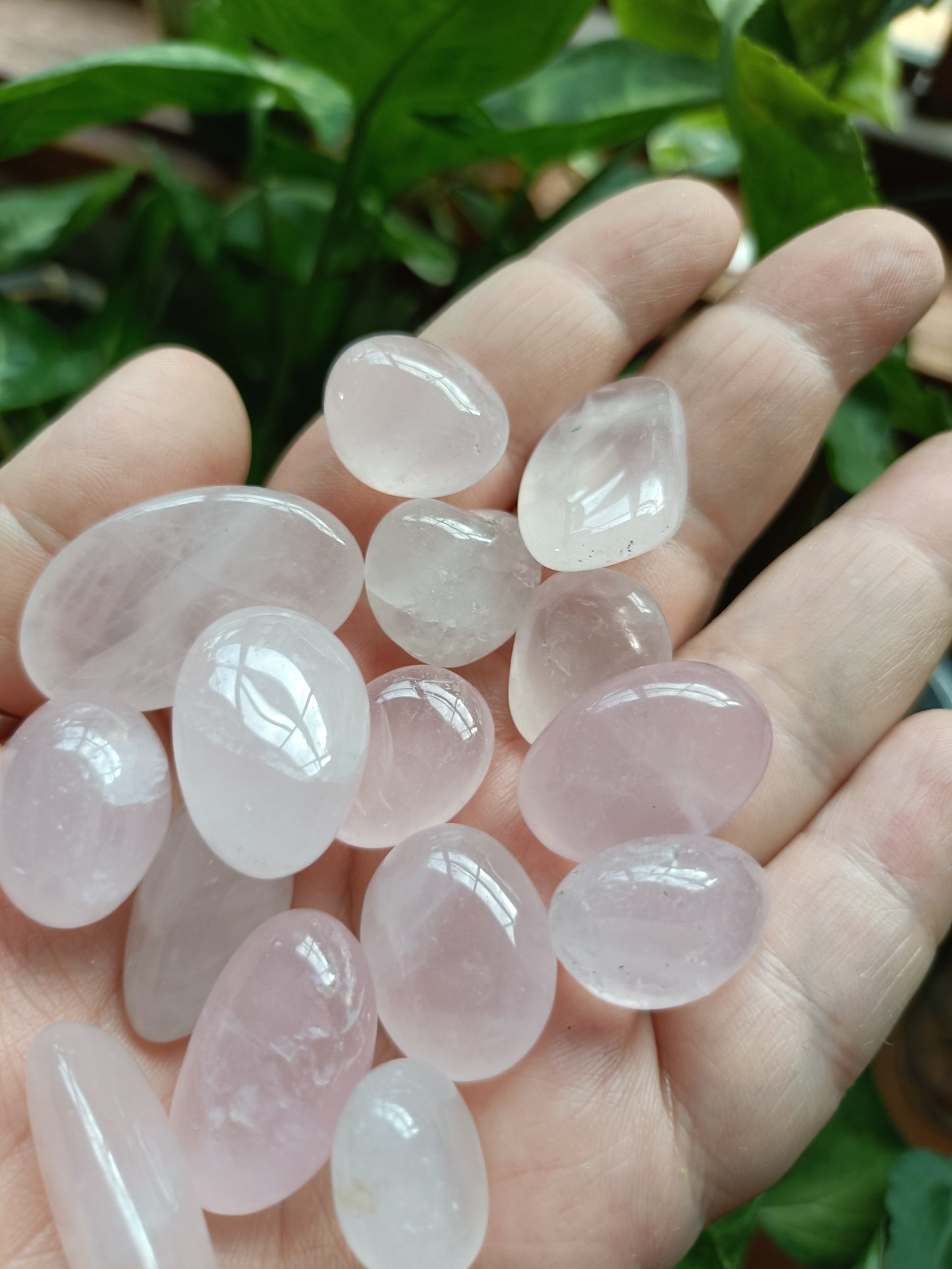 Rose Quartz SMALL Tumbles - 50g