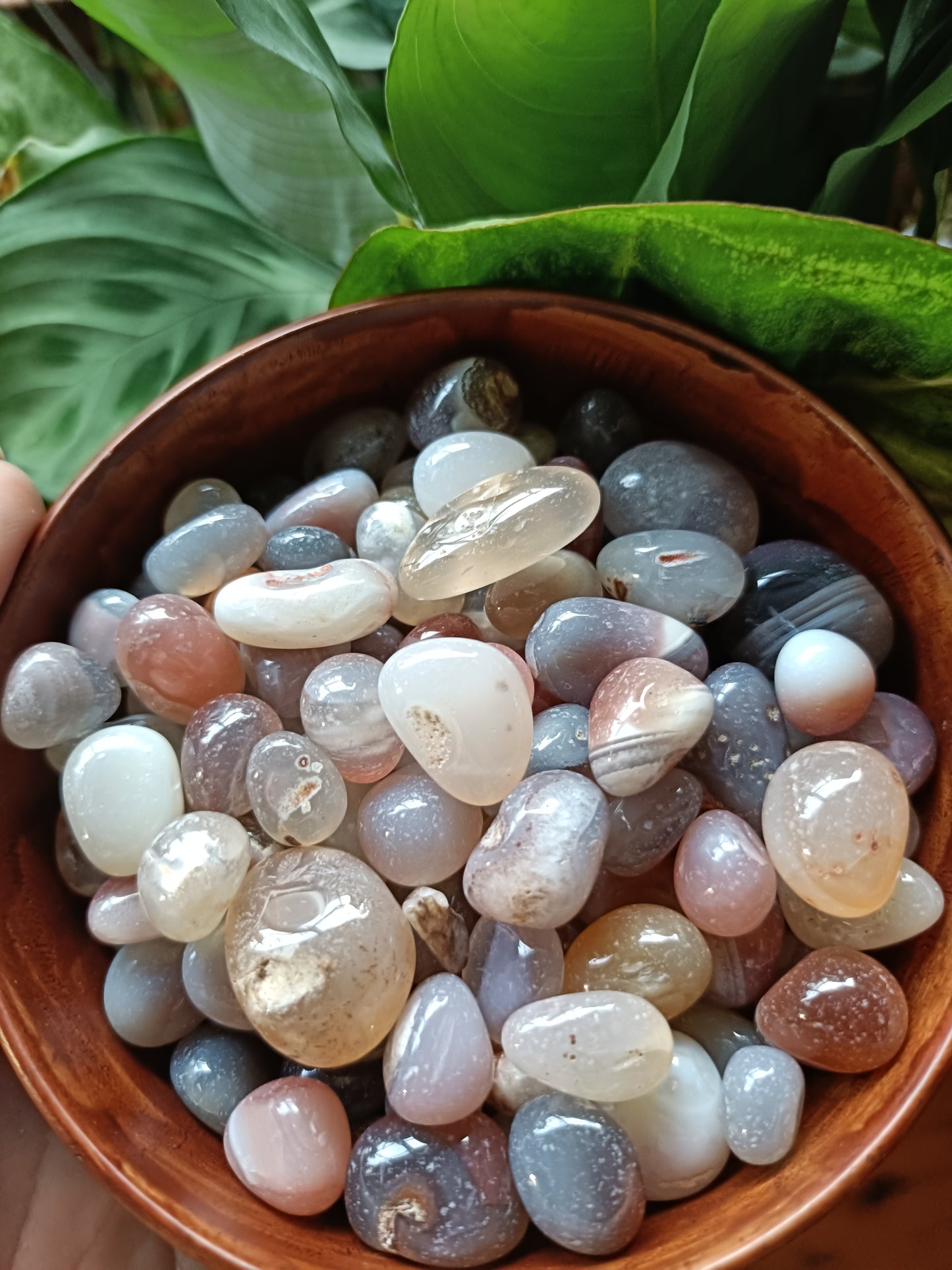 Pink Botswana Agate SMALL Tumbles - 50g