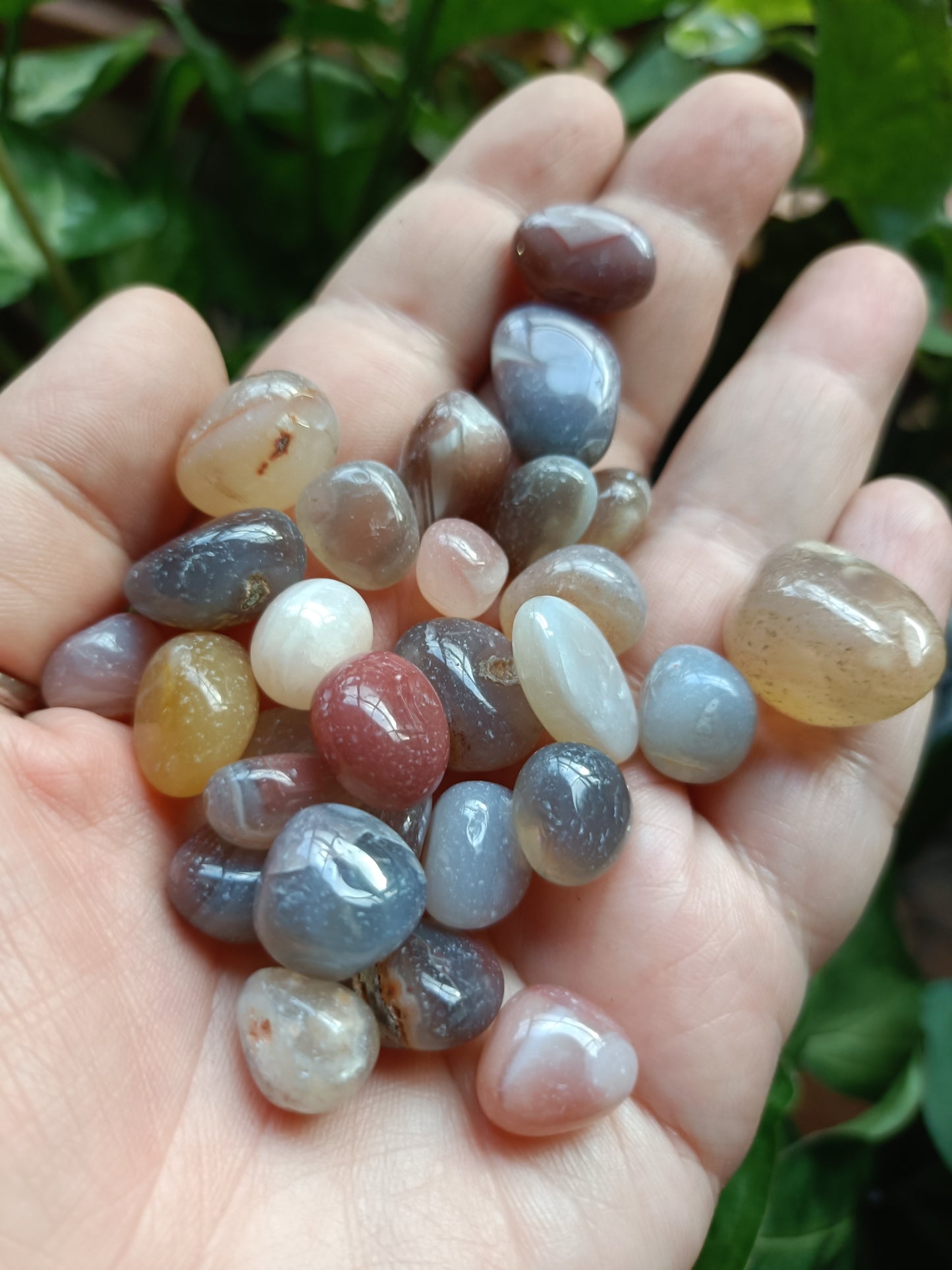 Pink Botswana Agate SMALL Tumbles - 50g