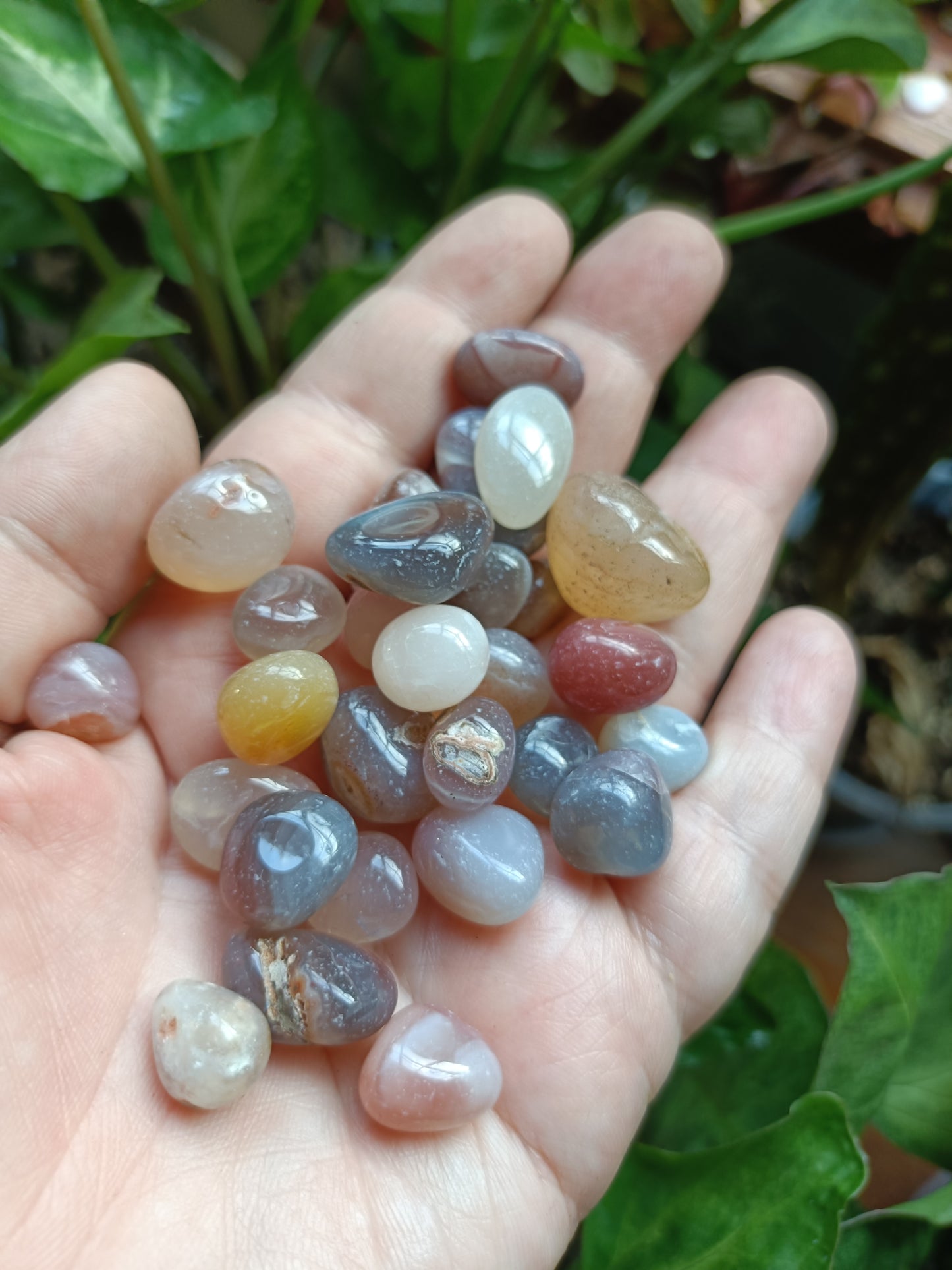 Pink Botswana Agate SMALL Tumbles - 50g
