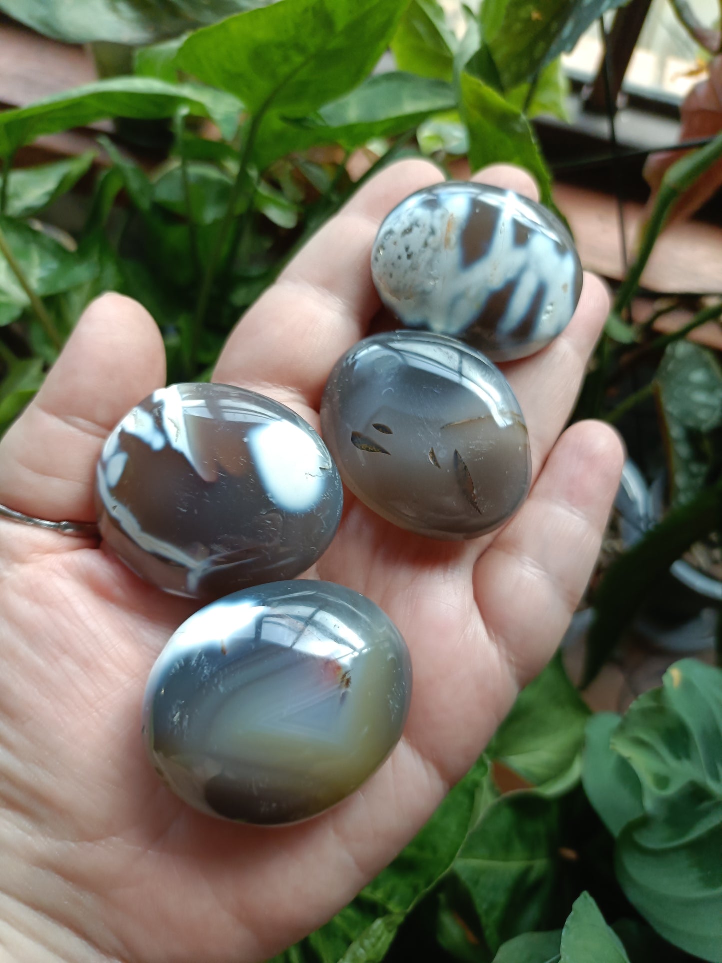Orca Agate Palm Stones - 35-55g