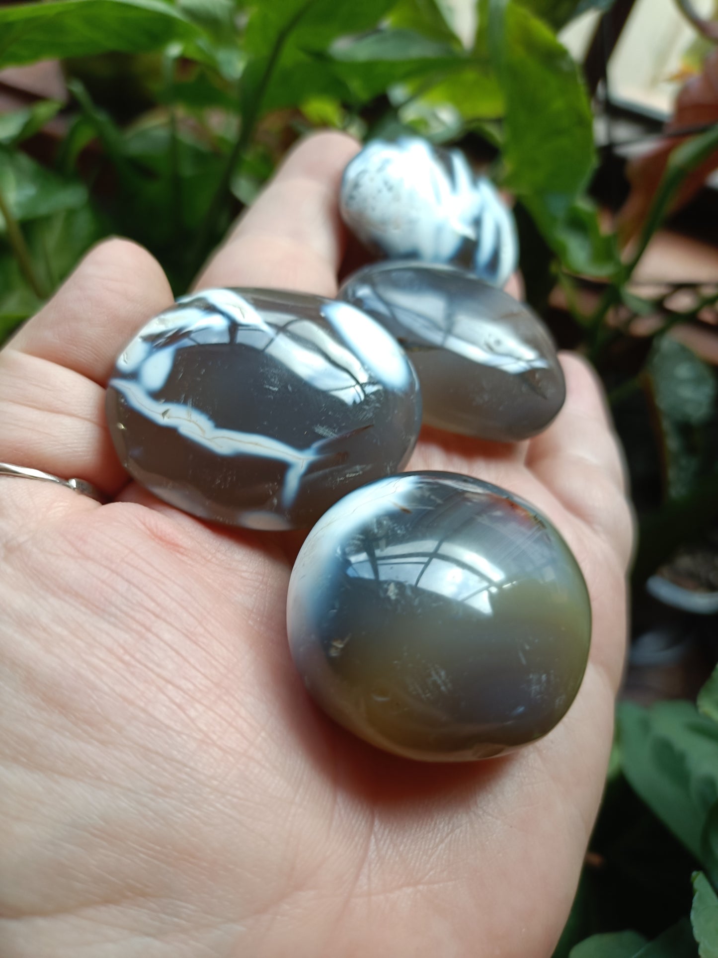 Orca Agate Palm Stones - 35-55g