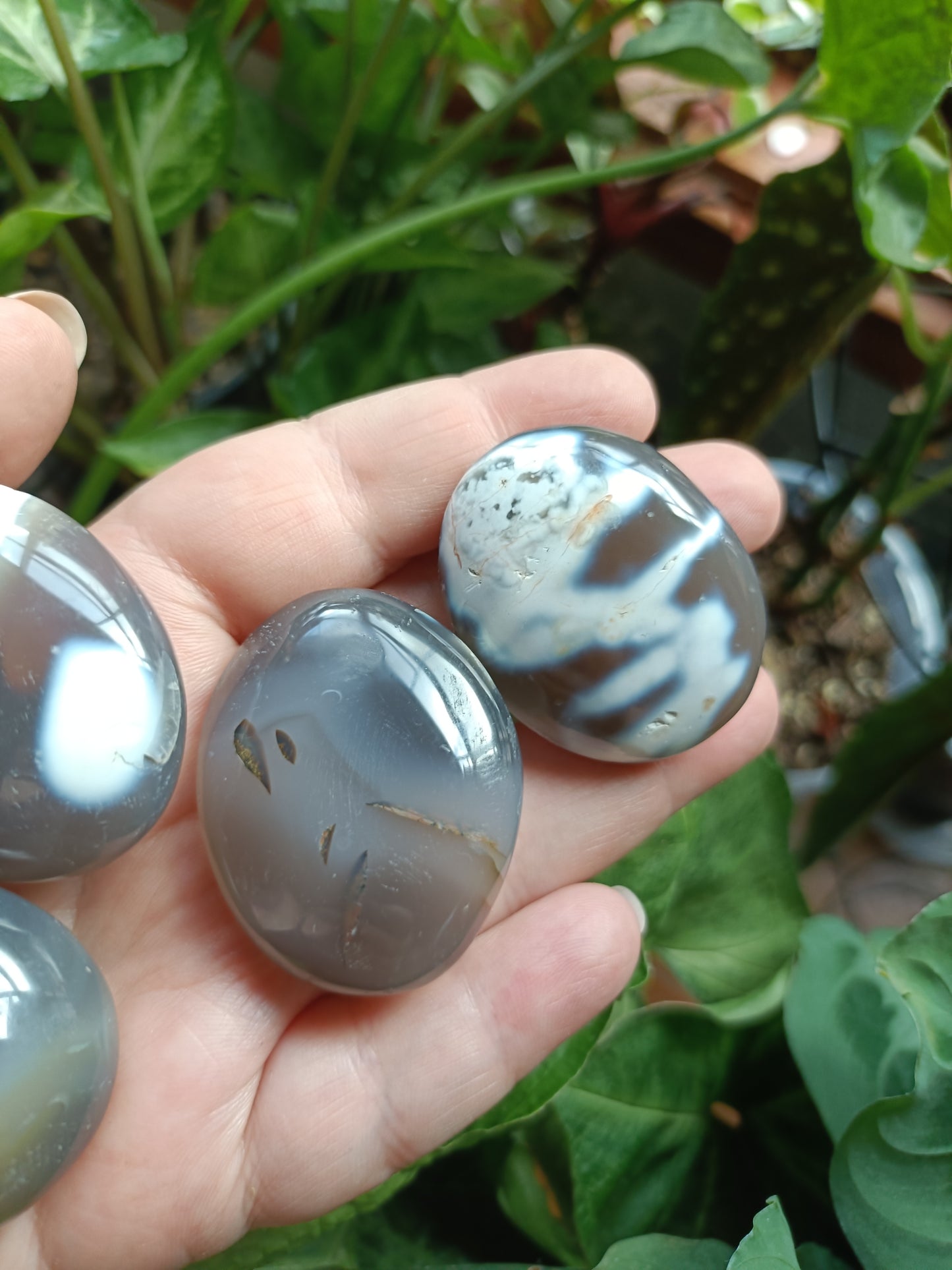Orca Agate Palm Stones - 35-55g