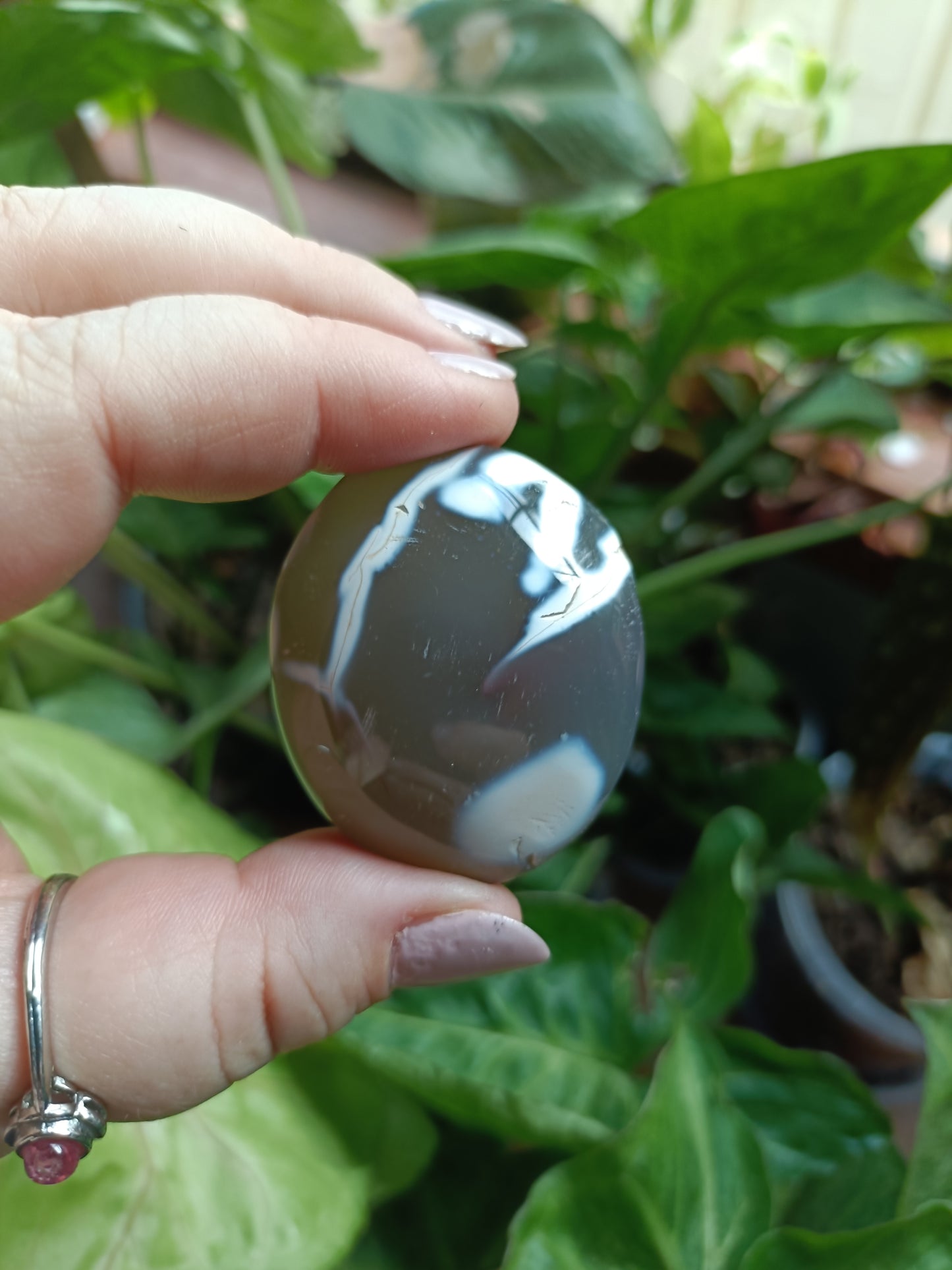 Orca Agate Palm Stones - 35-55g
