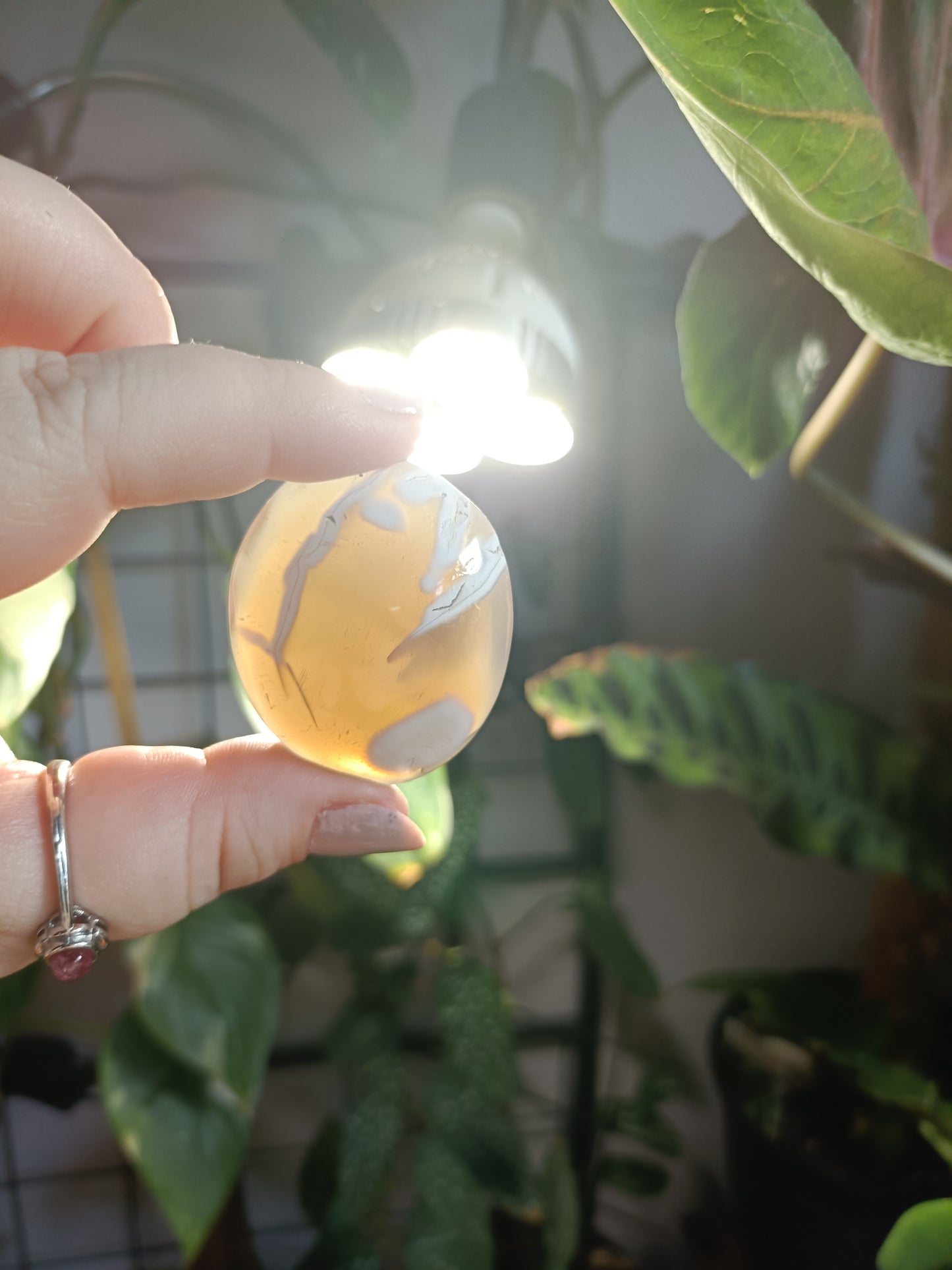 Orca Agate Palm Stones - 35-55g