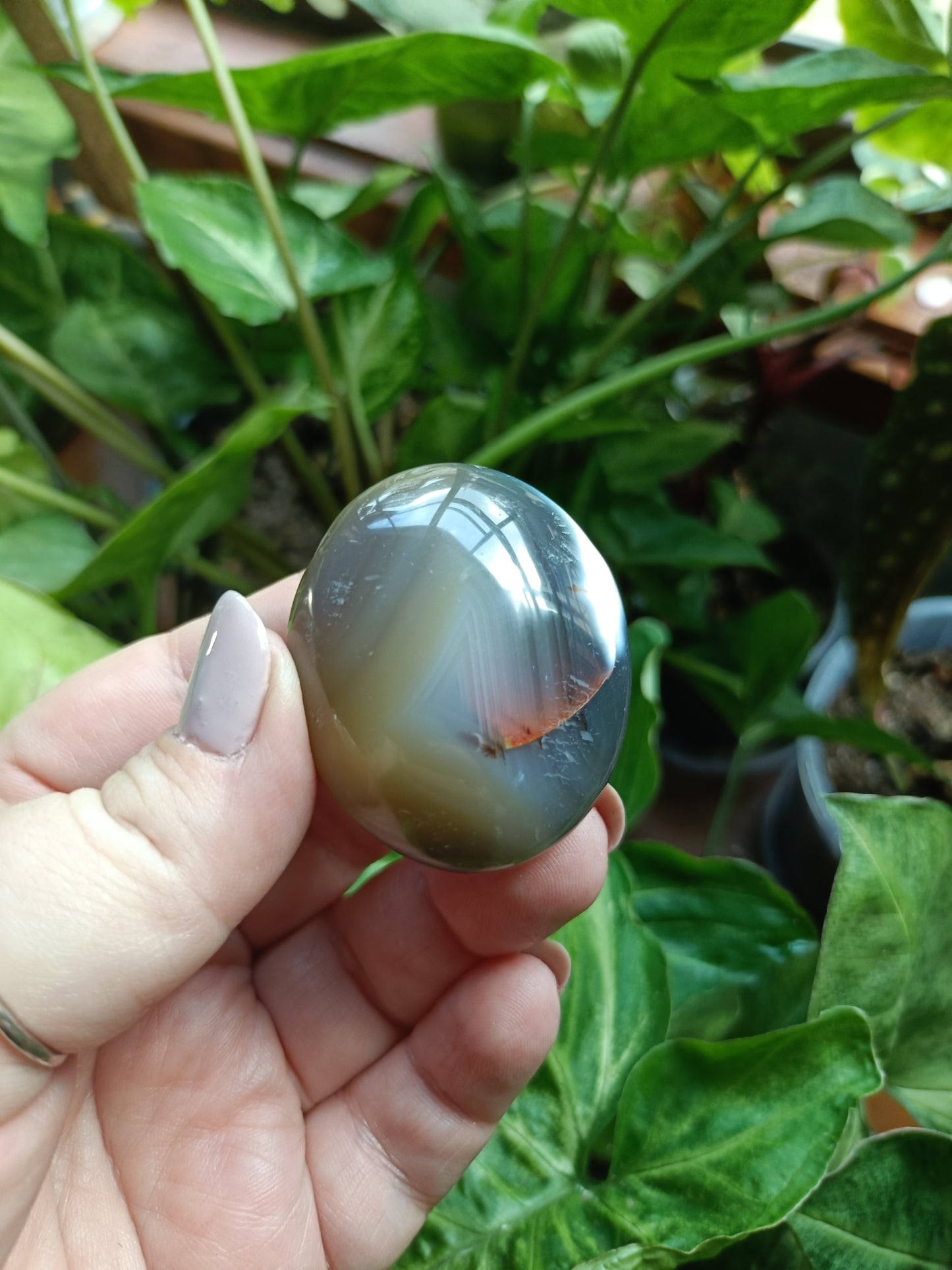 Orca Agate Palm Stones - 35-55g
