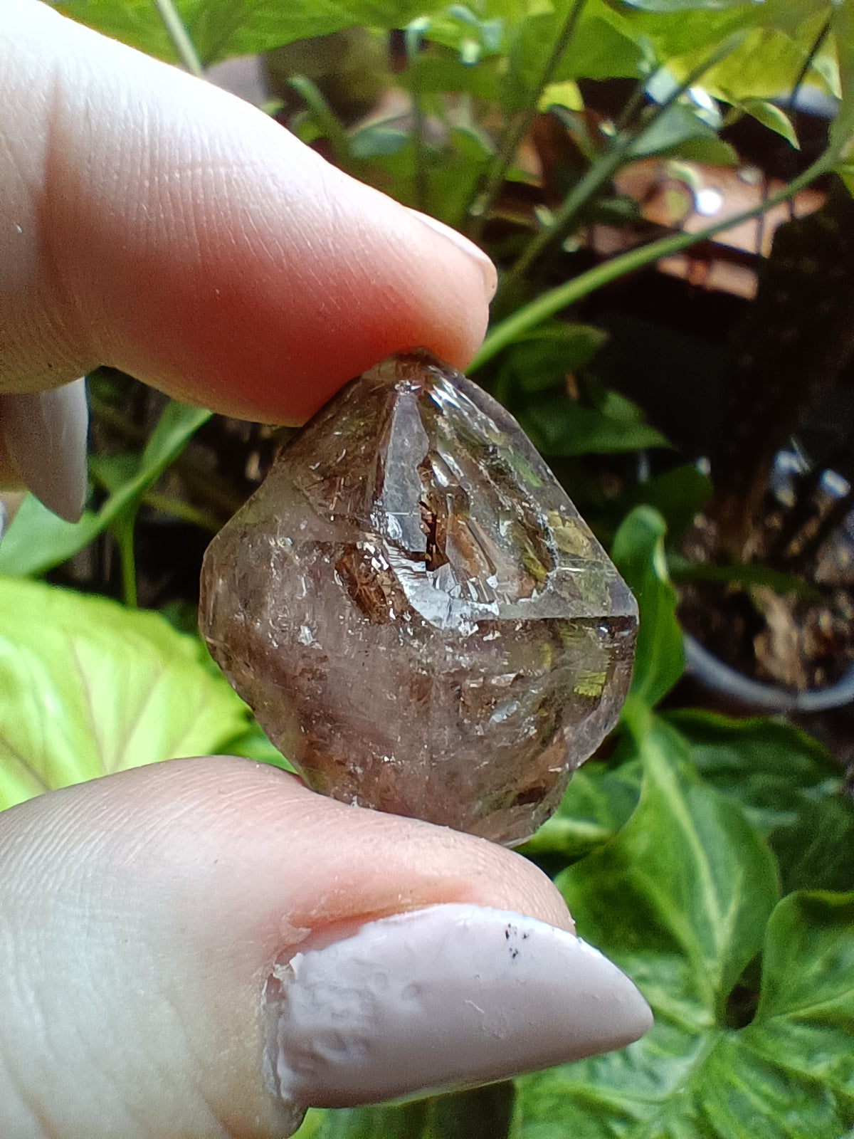 'Super 7' Included Quartz Rough Stones - 50g