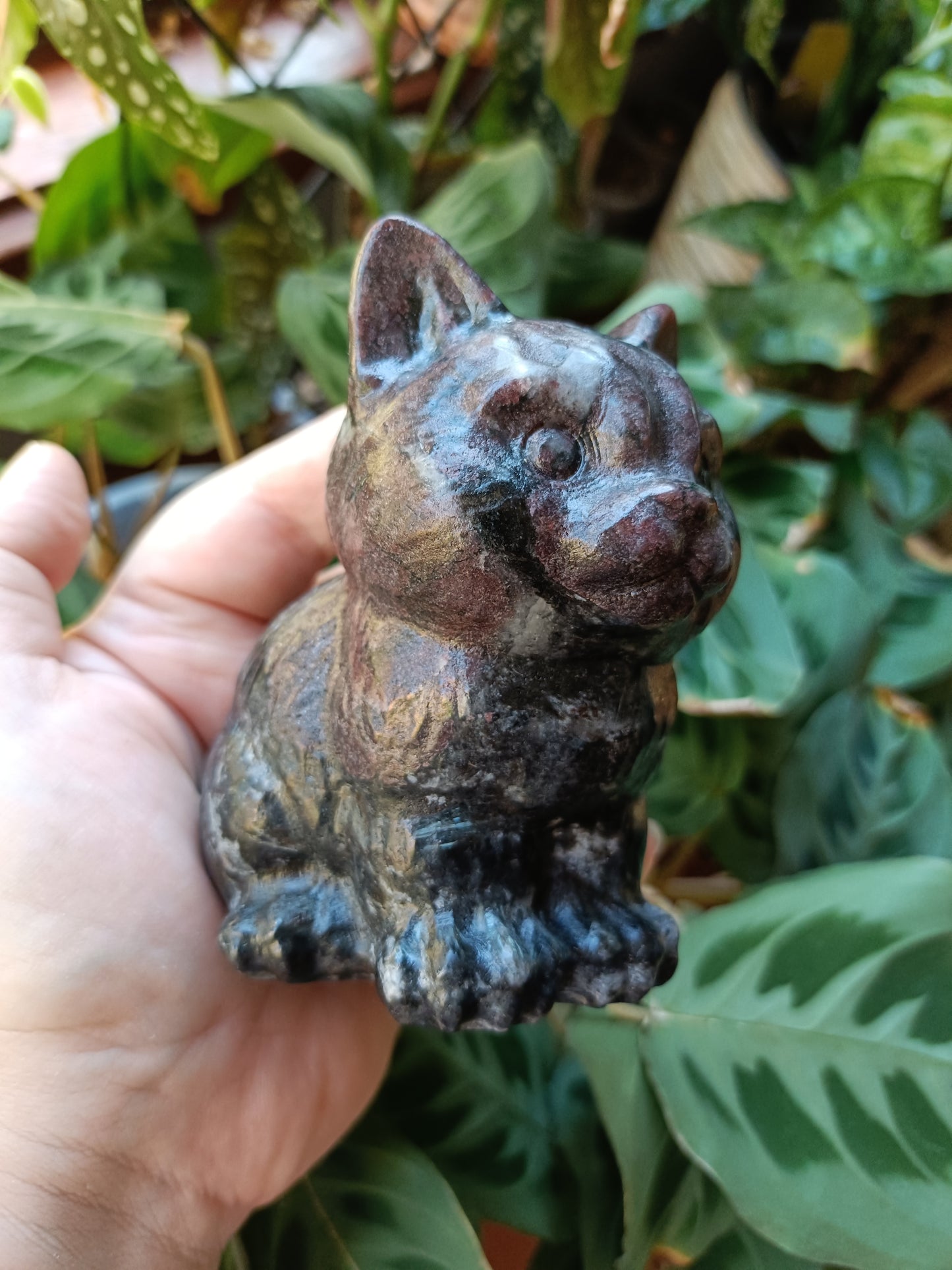 Garnet and Arfvedsonite Sitting Cat Carving - 770g