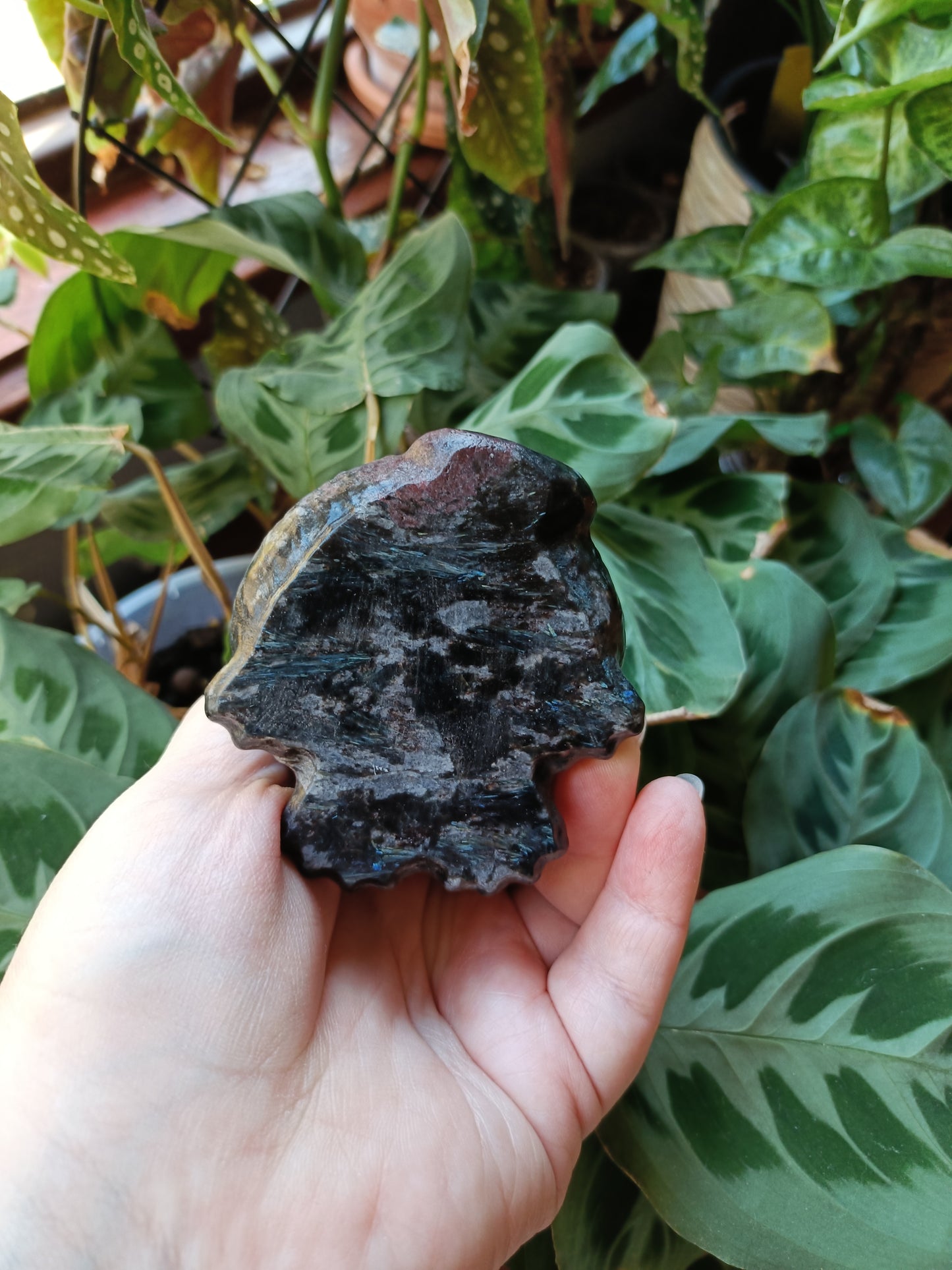 Garnet and Arfvedsonite Sitting Cat Carving - 770g