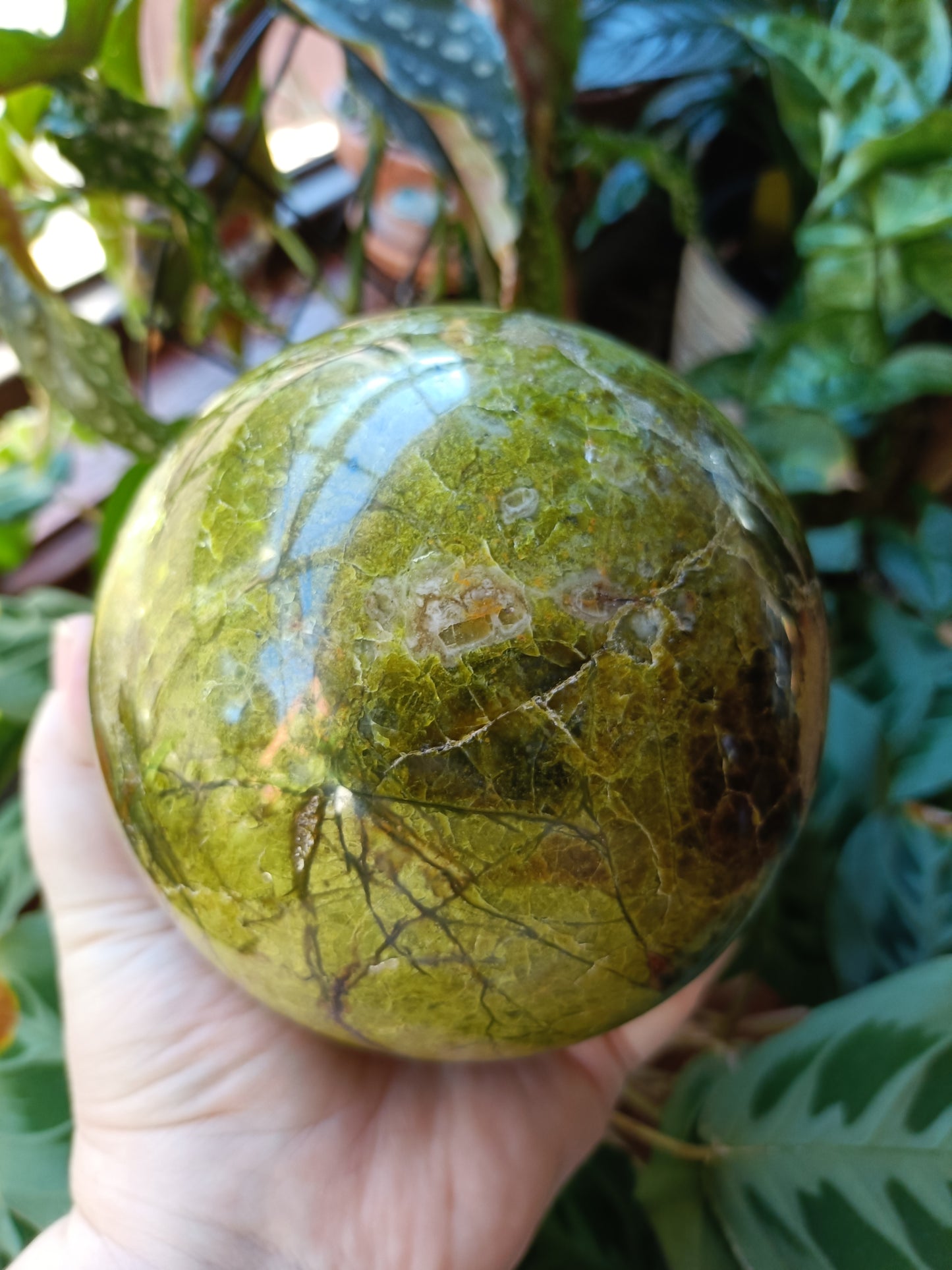 LARGE Green Opal Sphere - 2296g