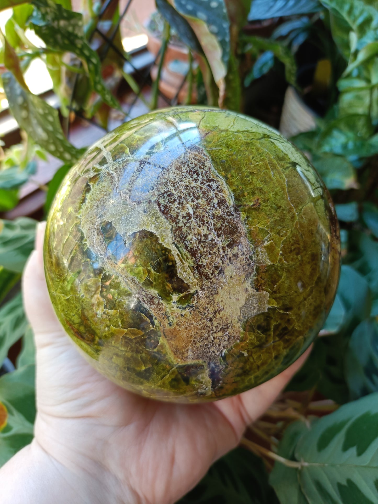 LARGE Green Opal Sphere - 2296g