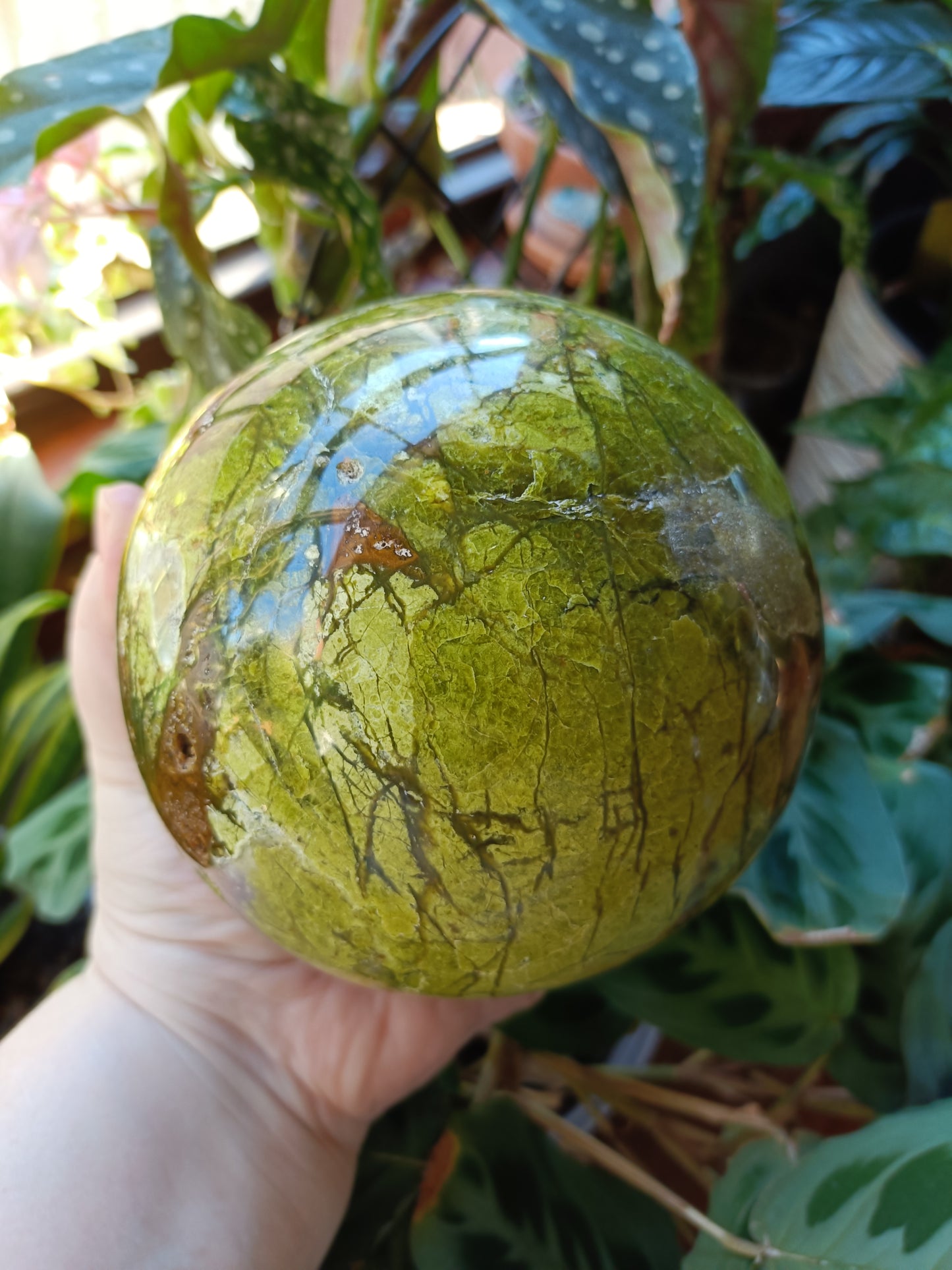 LARGE Green Opal Sphere - 2296g