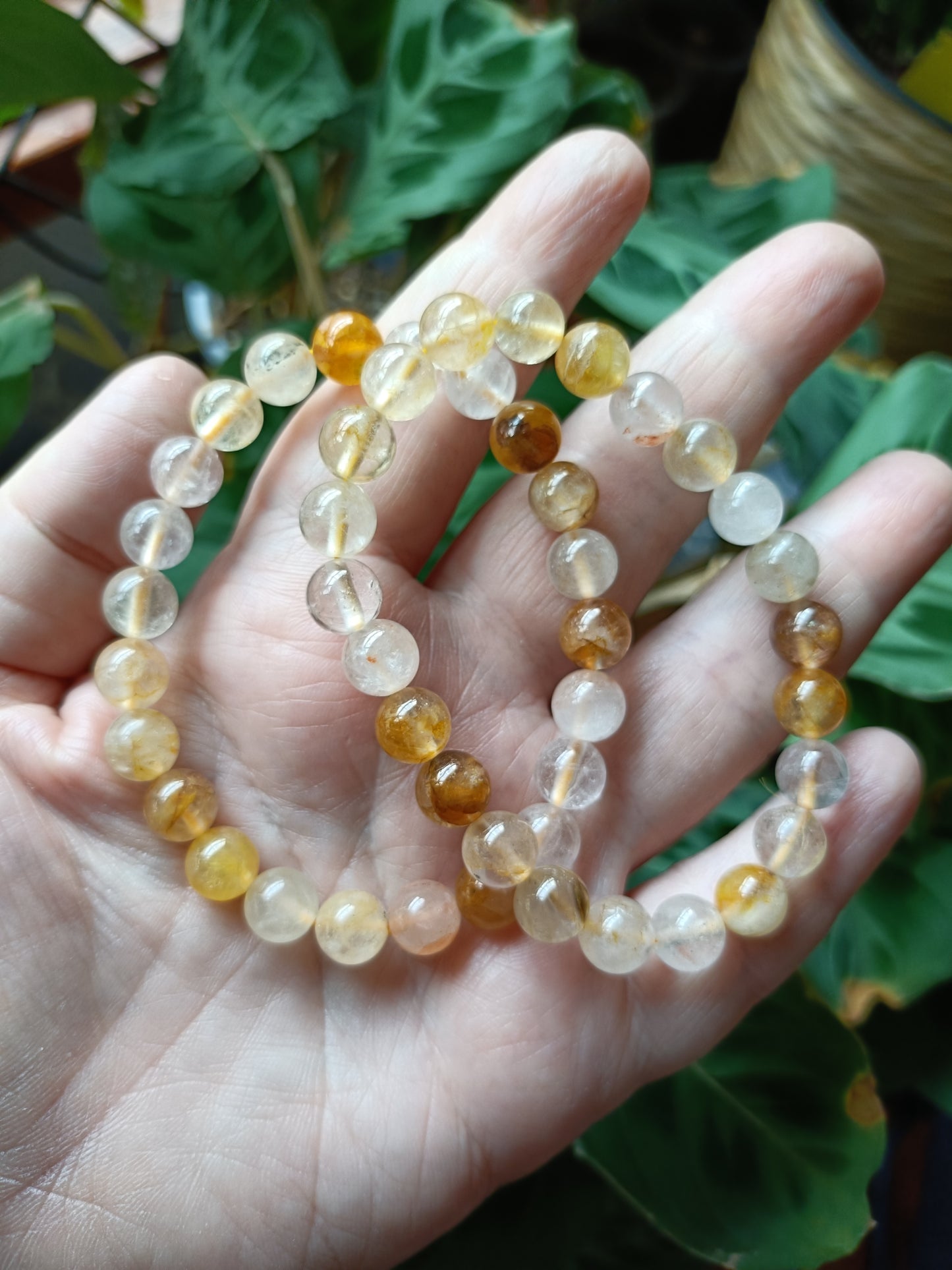 Golden Healer Quartz Beaded Stretch Bracelet - 8.5mm