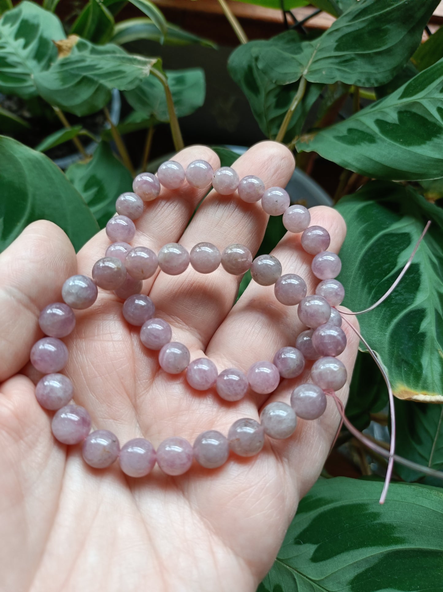 Lavender Rose Quartz Beaded Stretch Bracelet - 8.5mm