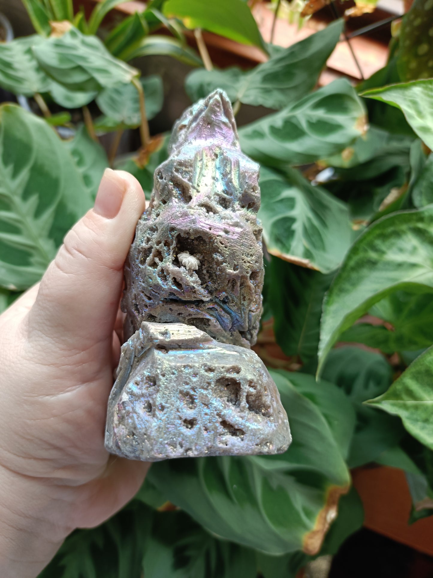 Aura Coated Brecciated Quartz Chalcedony Rooster - 558g