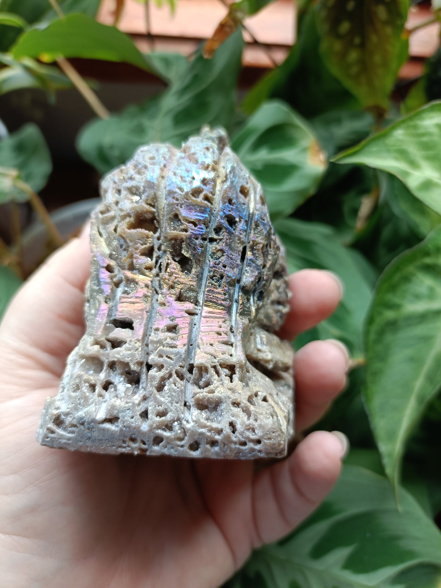 Aura Coated Brecciated Quartz Chalcedony Rooster - 467g