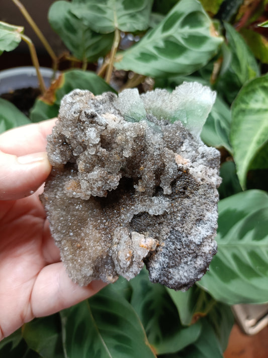 Green Sugar Fluorite and Quartz Specimen - 245g