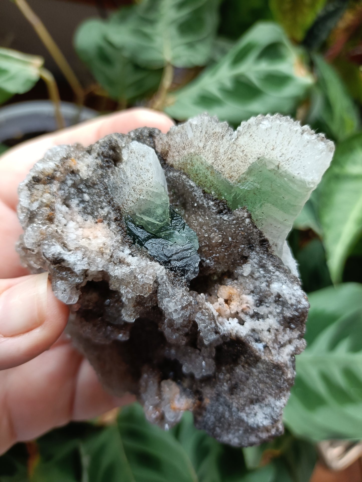 Green Sugar Fluorite and Quartz Specimen - 245g