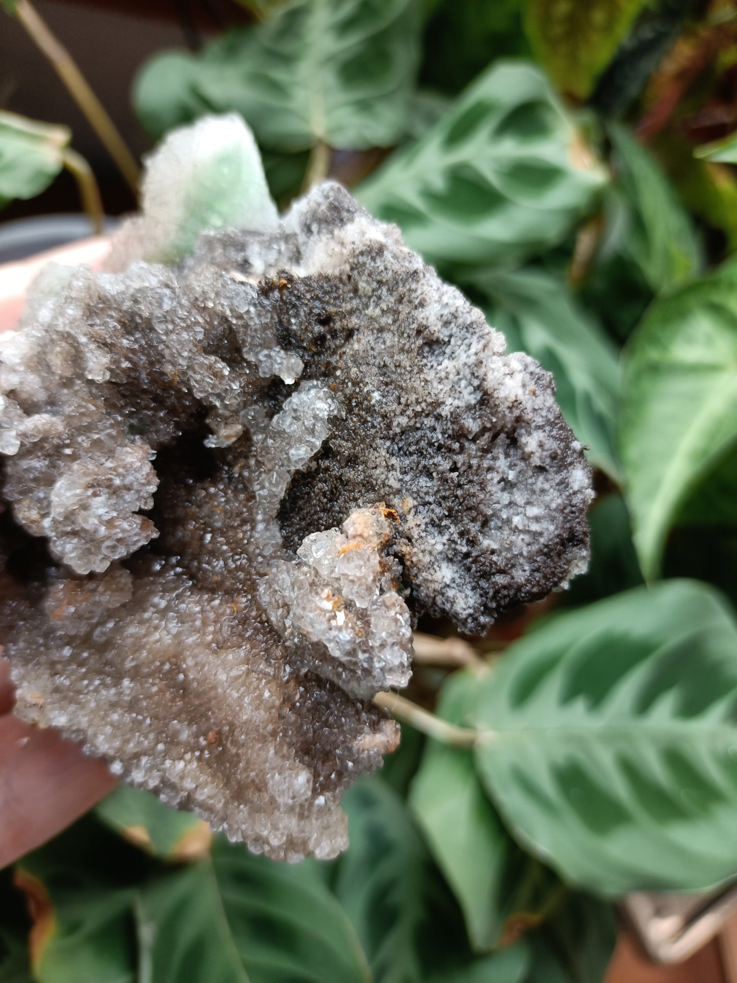 Green Sugar Fluorite and Quartz Specimen - 245g