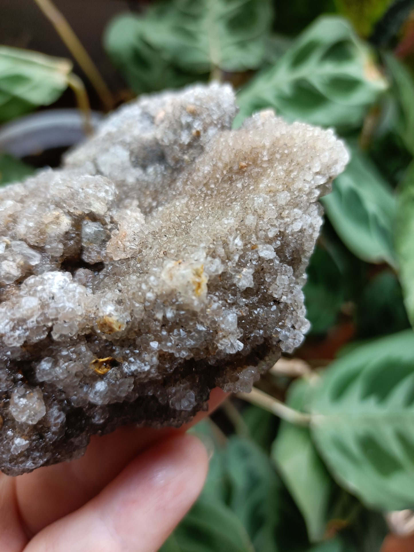 Green Sugar Fluorite and Quartz Specimen - 245g