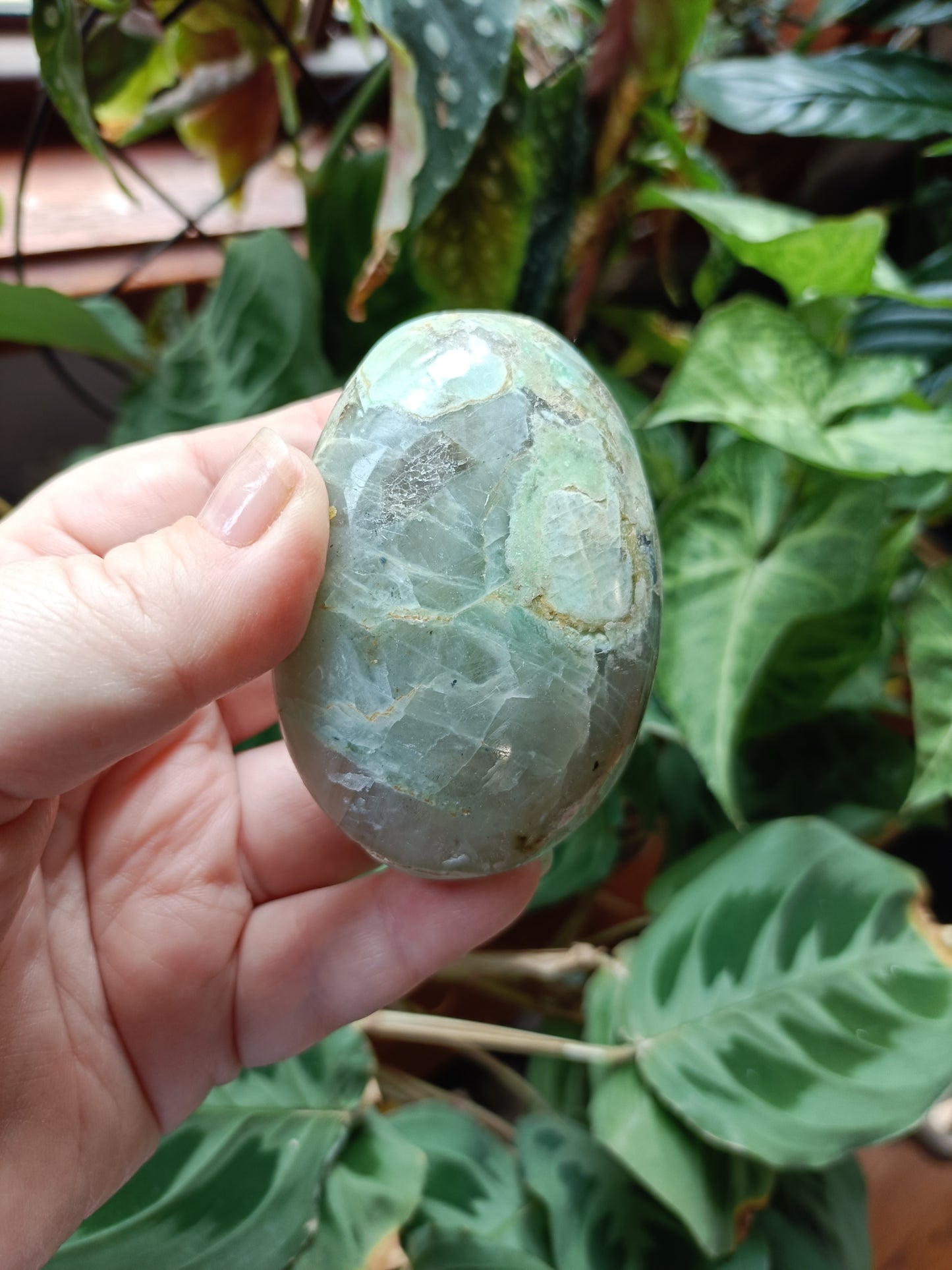 Green Feldspar (Moonstone) Palm Stones - 100-250g