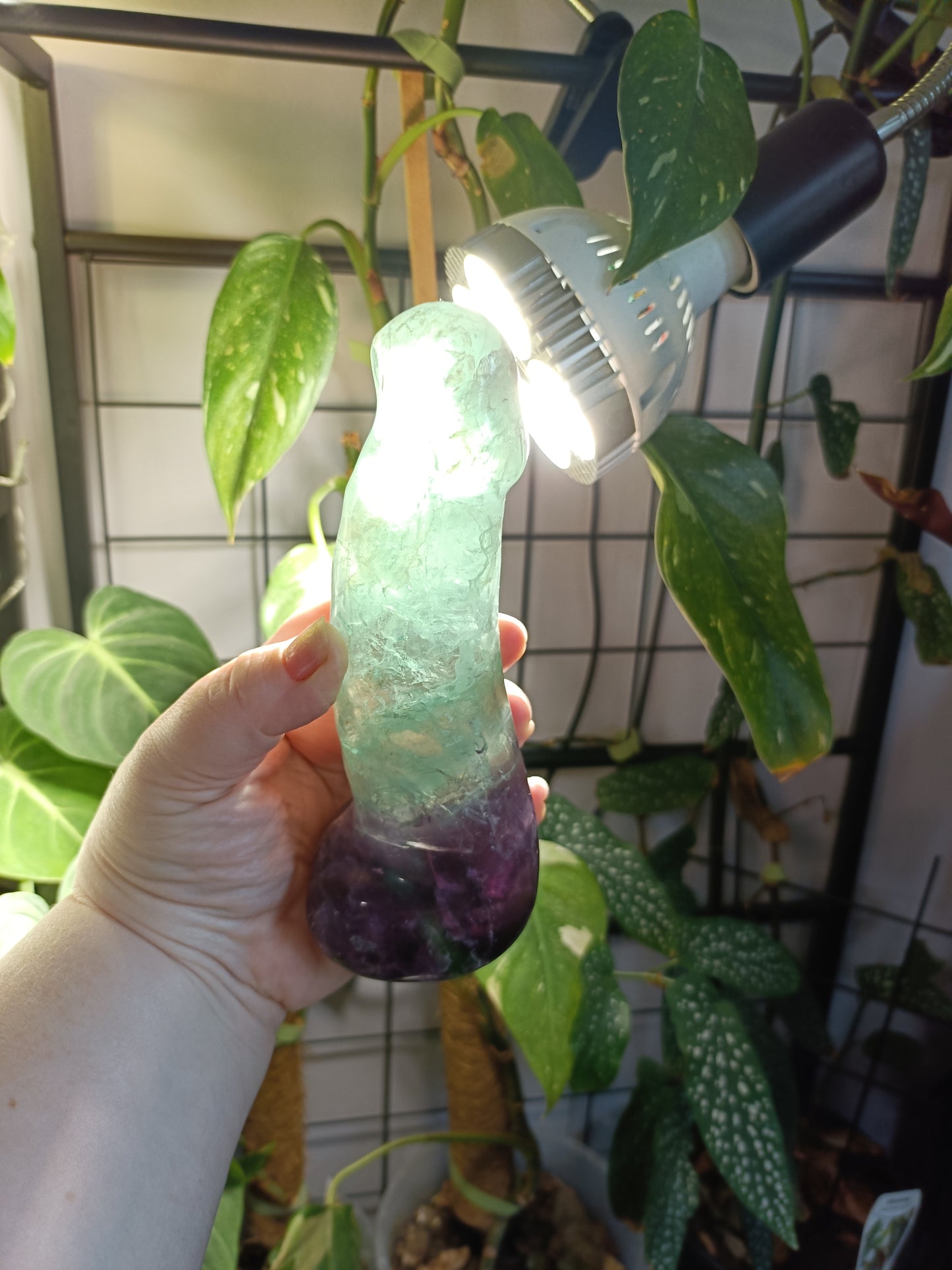 Rainbow Fluorite Ding Ding - 789g