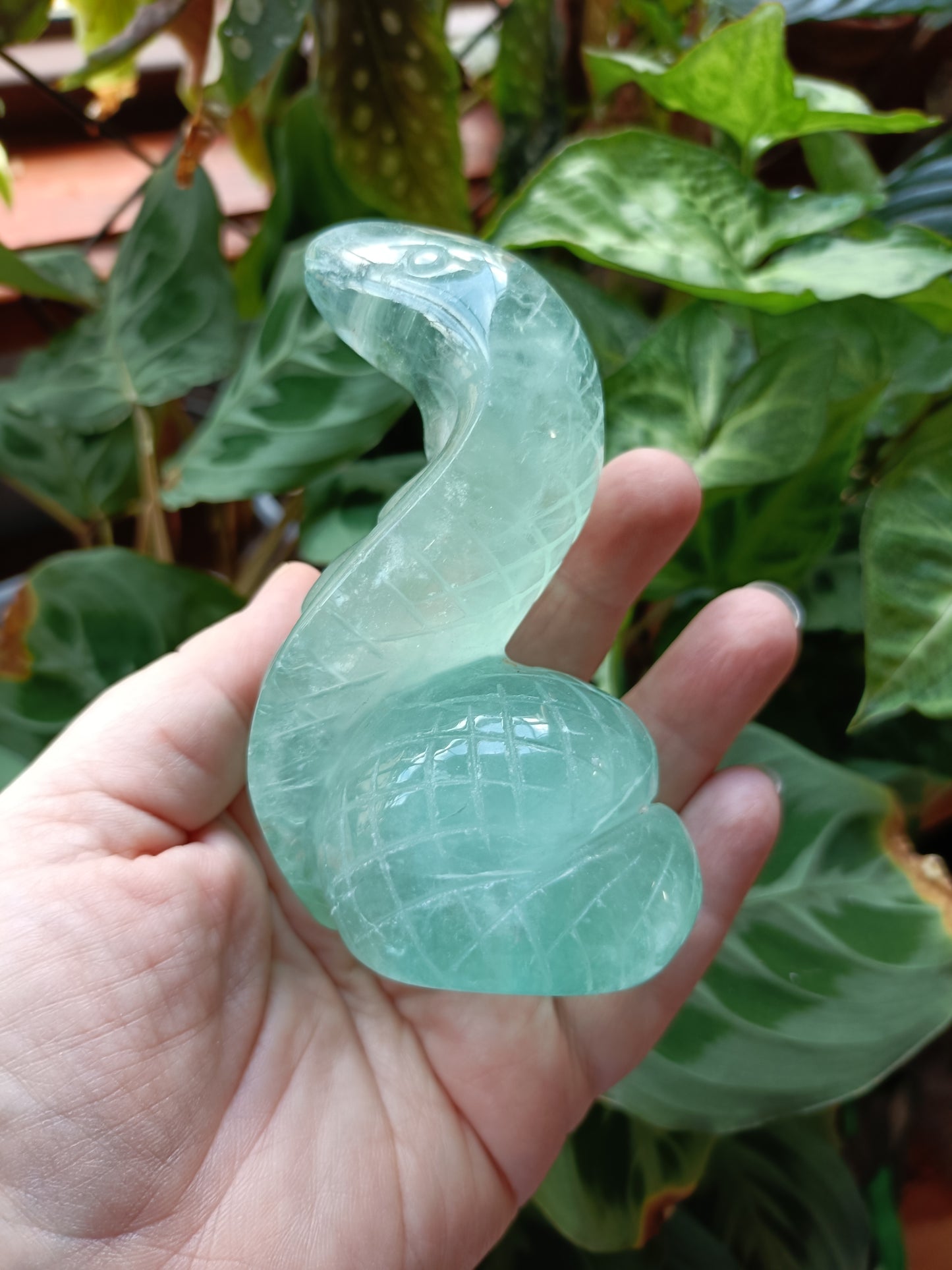 Green Fluorite Cobra - 408g