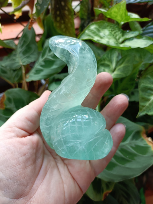 Green Fluorite Cobra - 408g