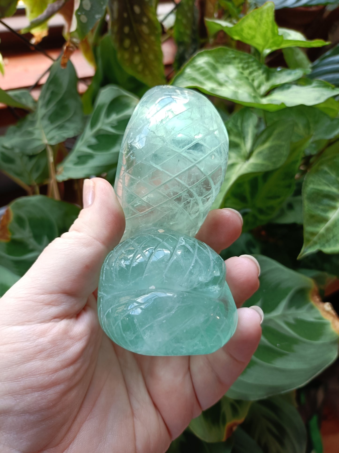 Green Fluorite Cobra - 408g